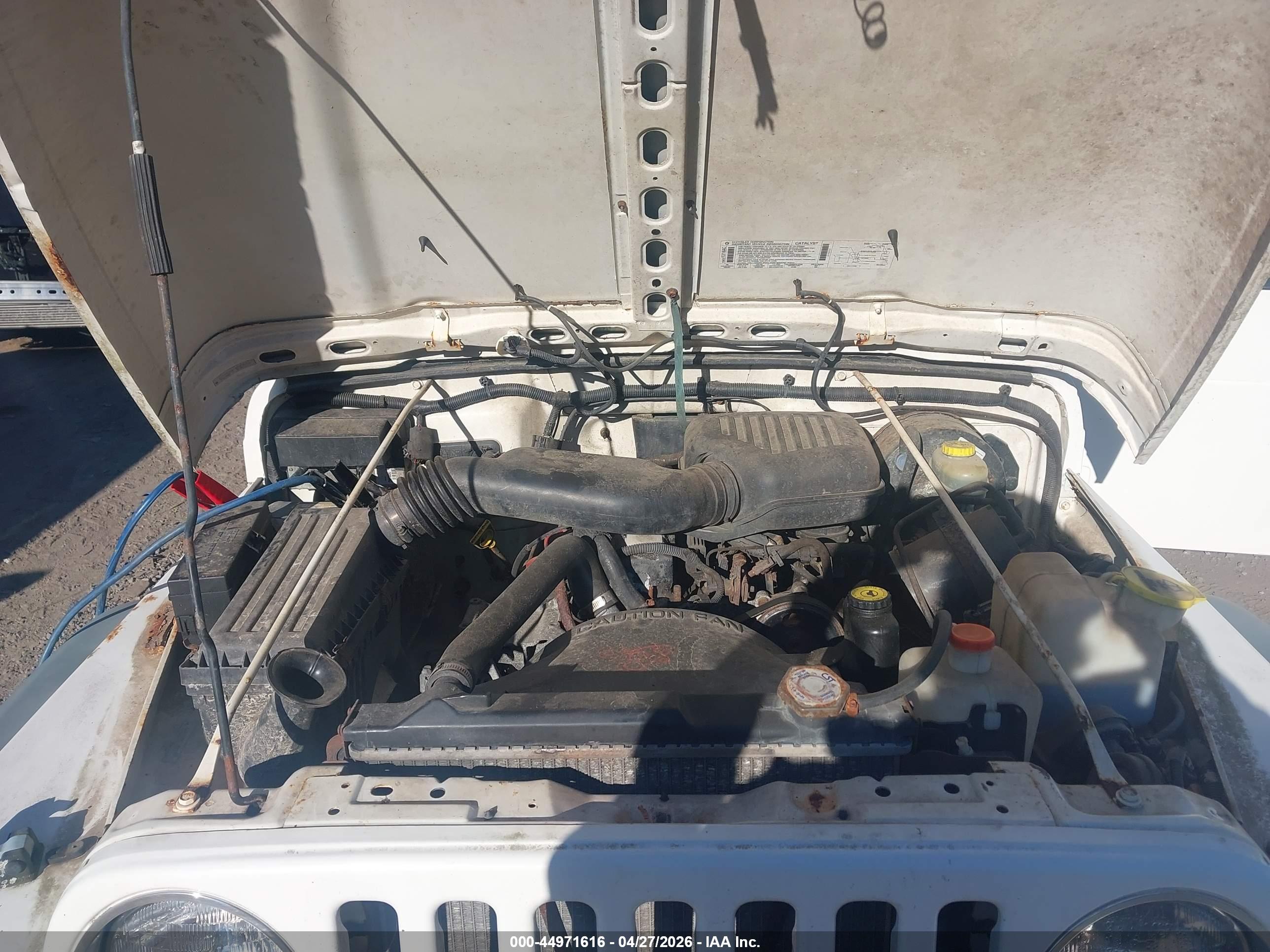 JEEP WRANGLER image 10
