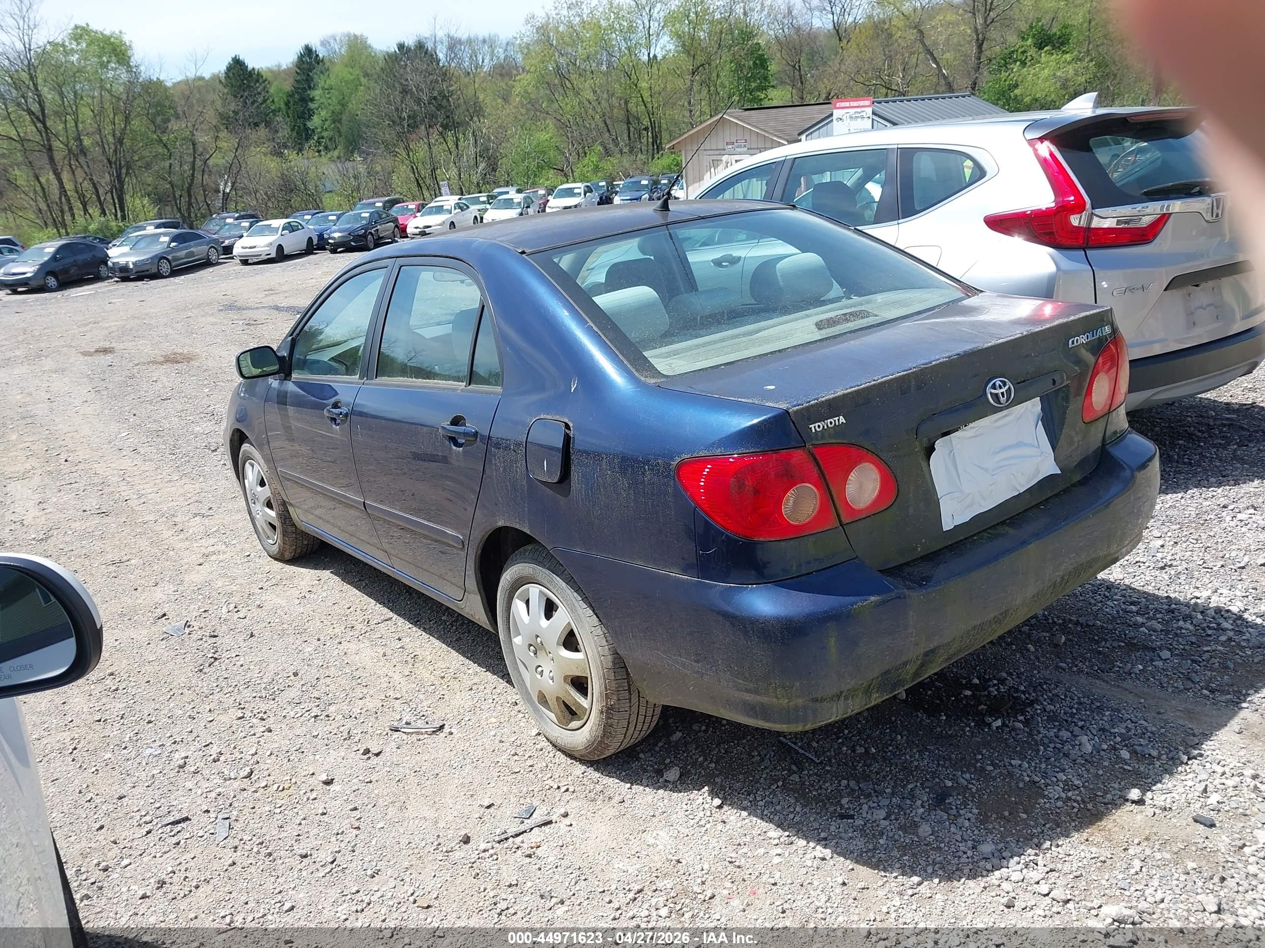 TOYOTA COROLLA image 3