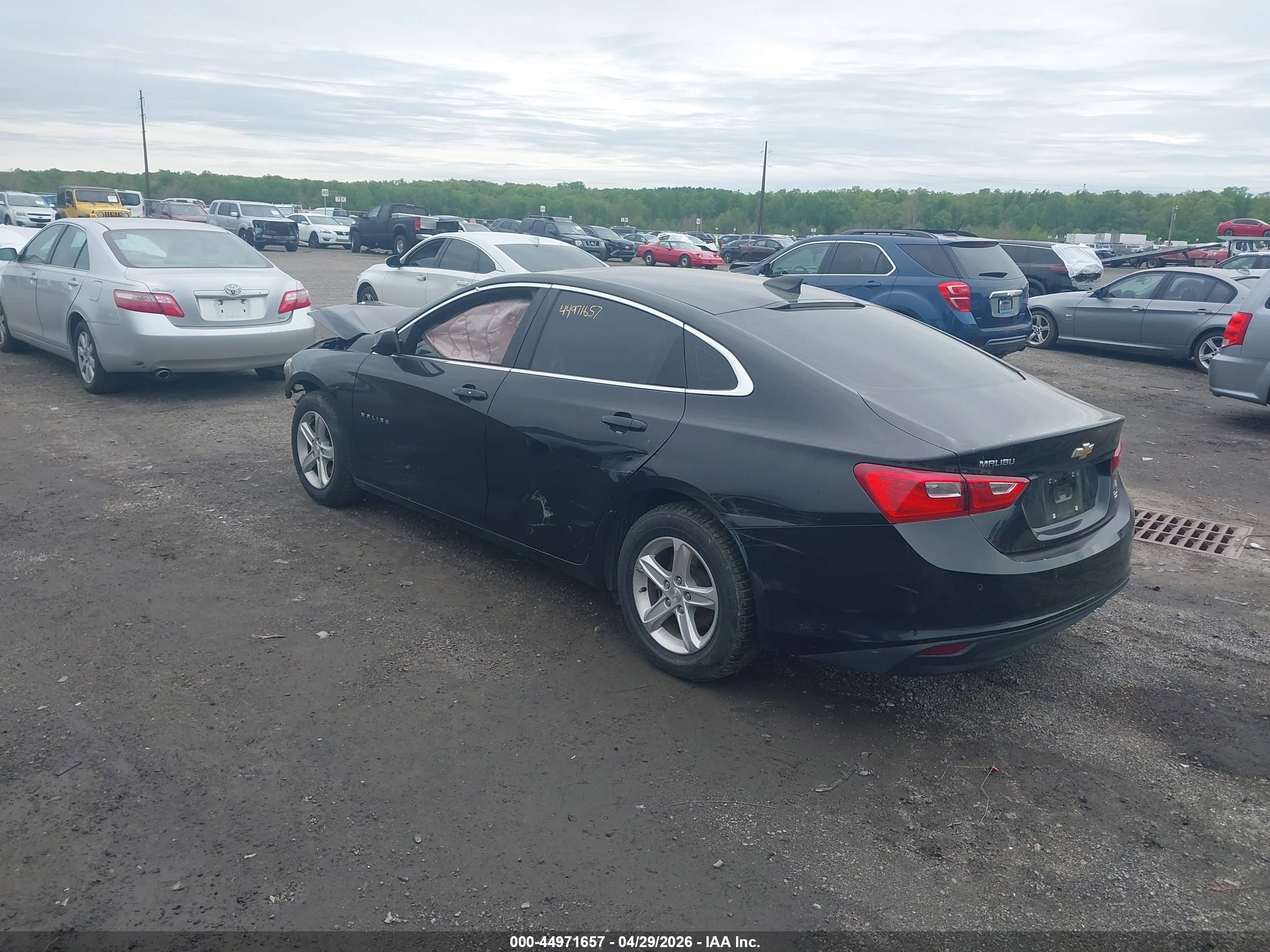 CHEVROLET MALIBU image 3