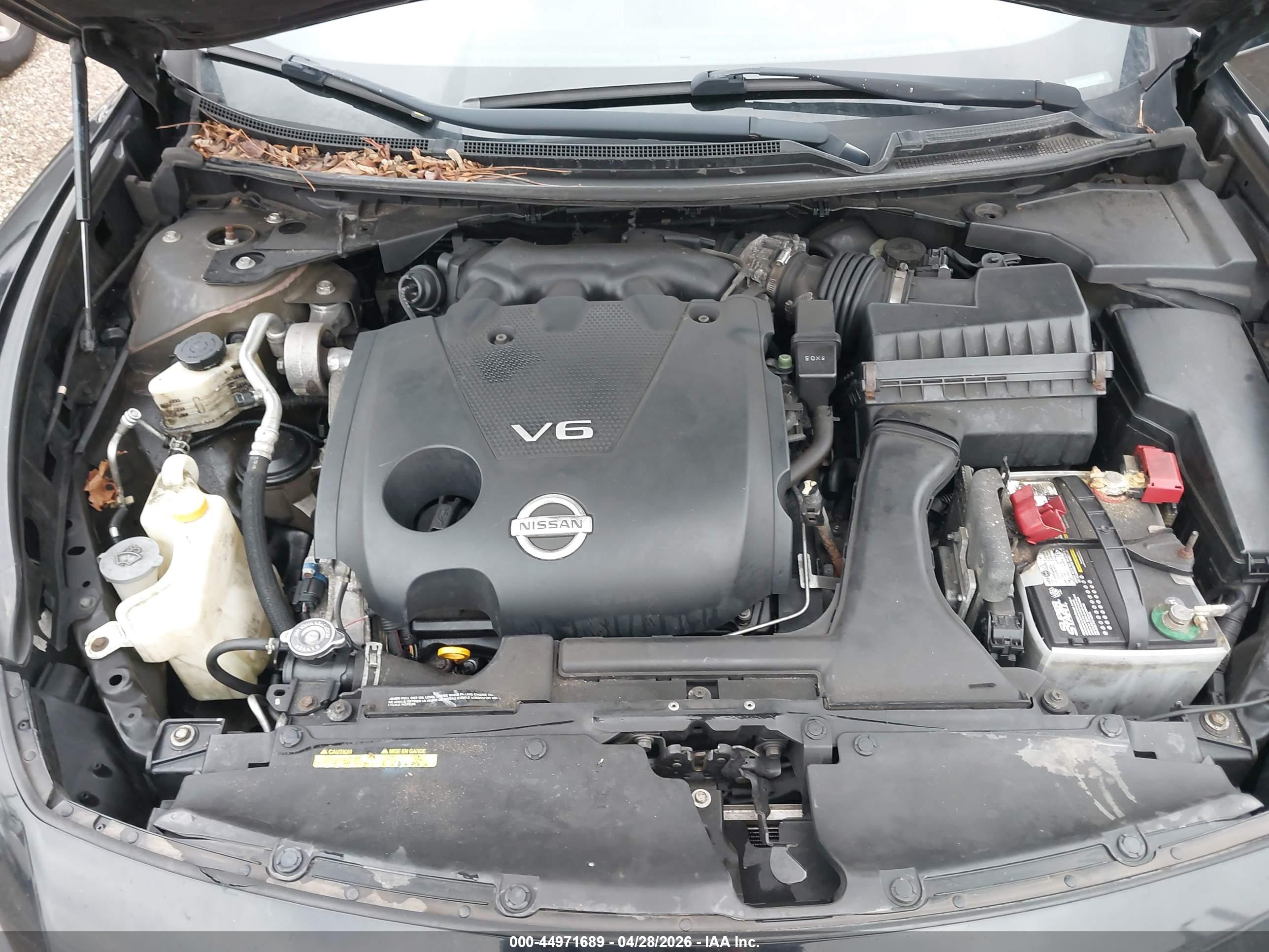 NISSAN MAXIMA image 10