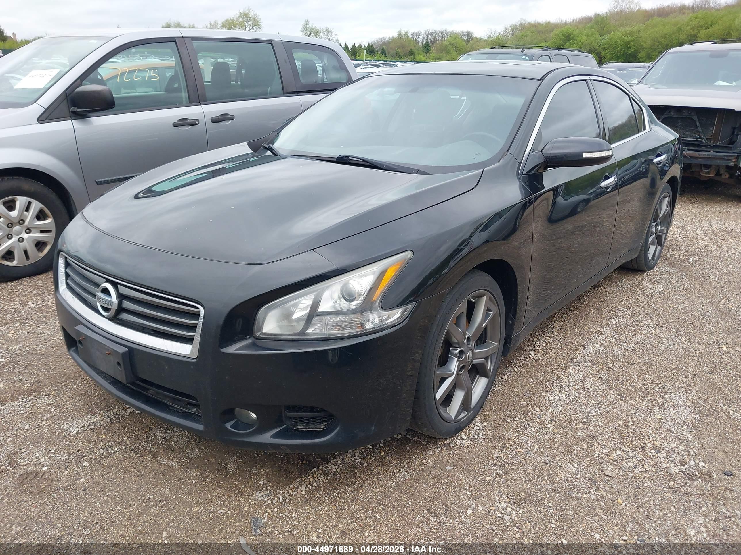 NISSAN MAXIMA image 2