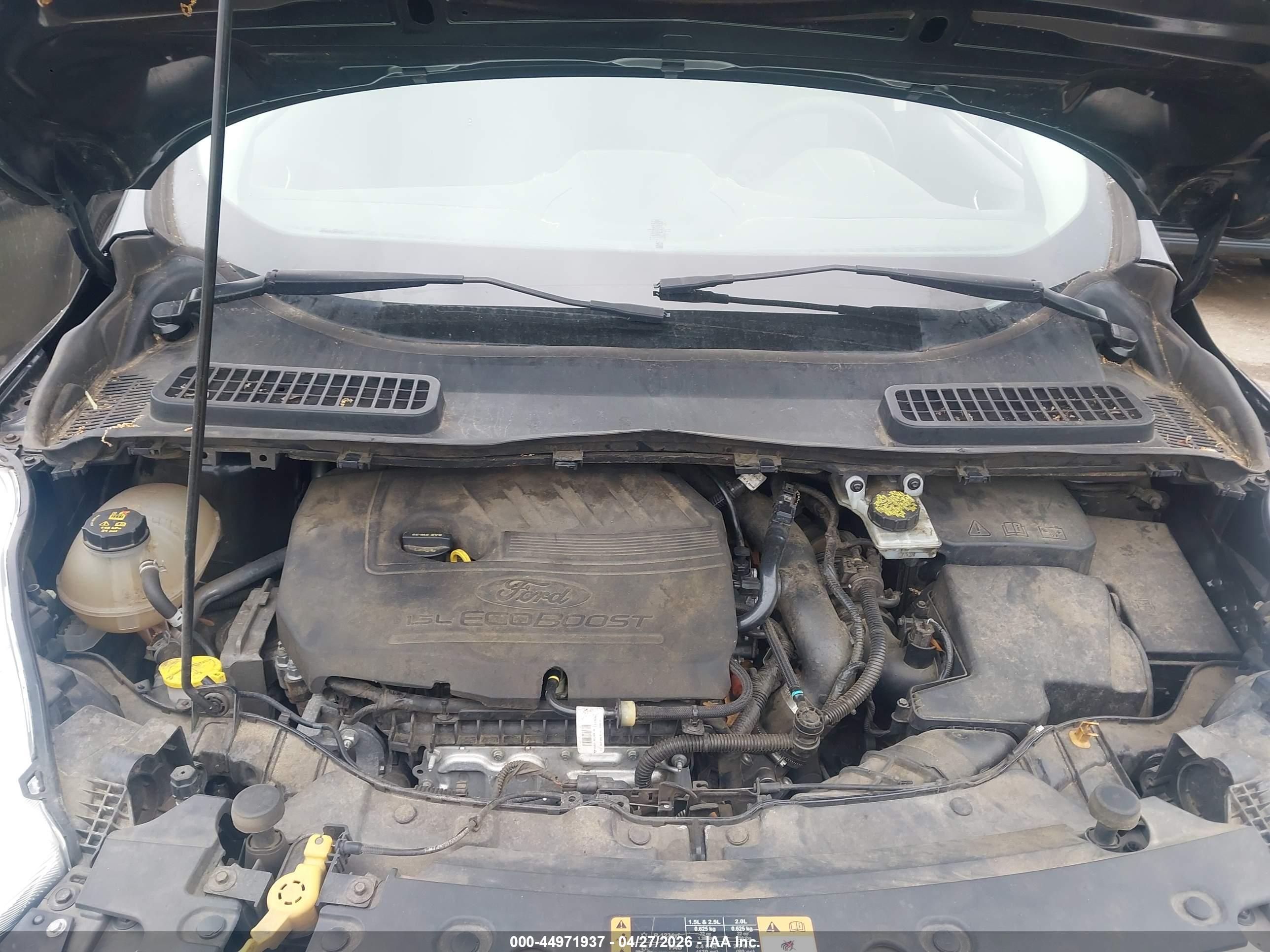 FORD ESCAPE image 10