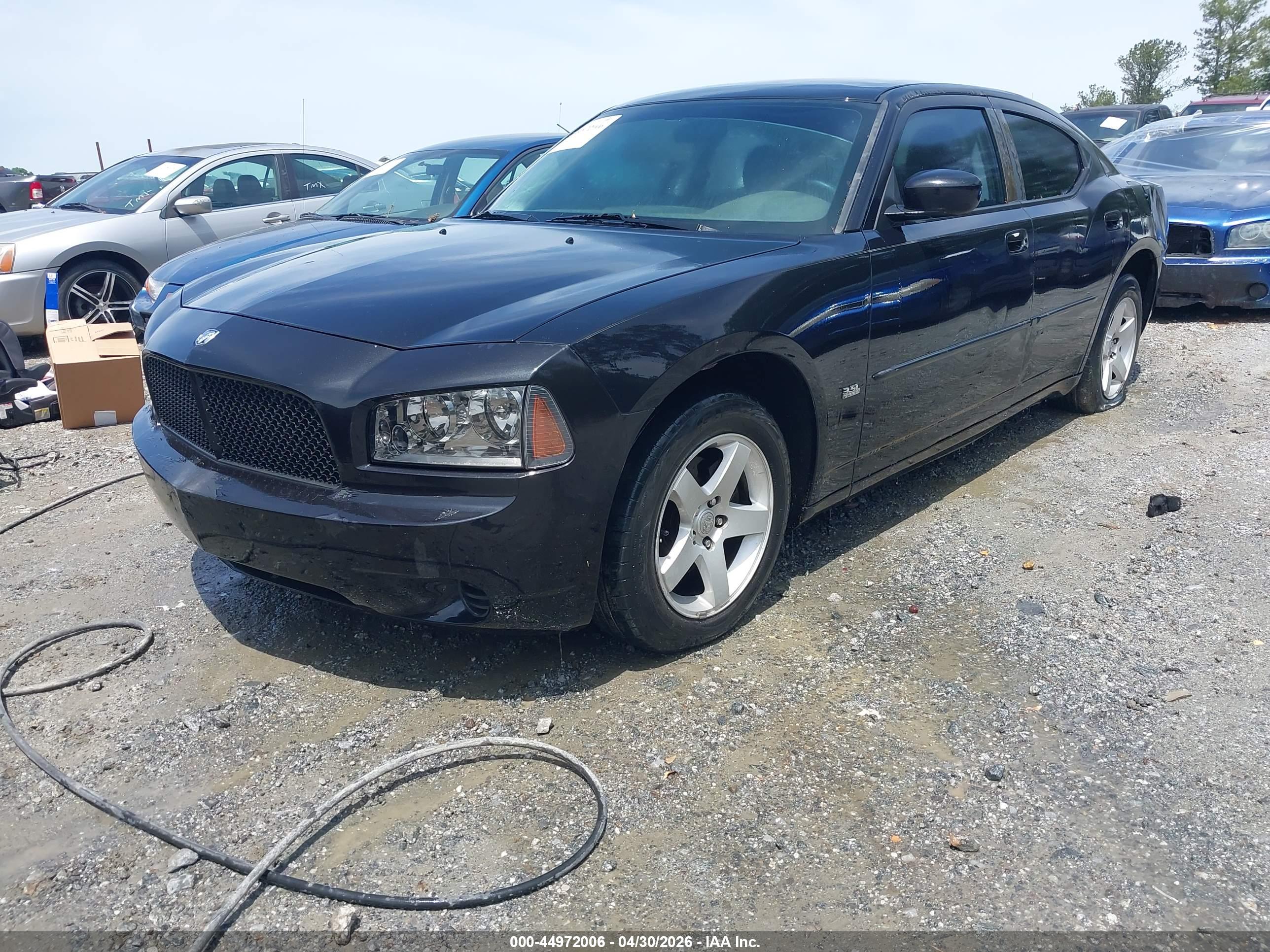 DODGE CHARGER image 2