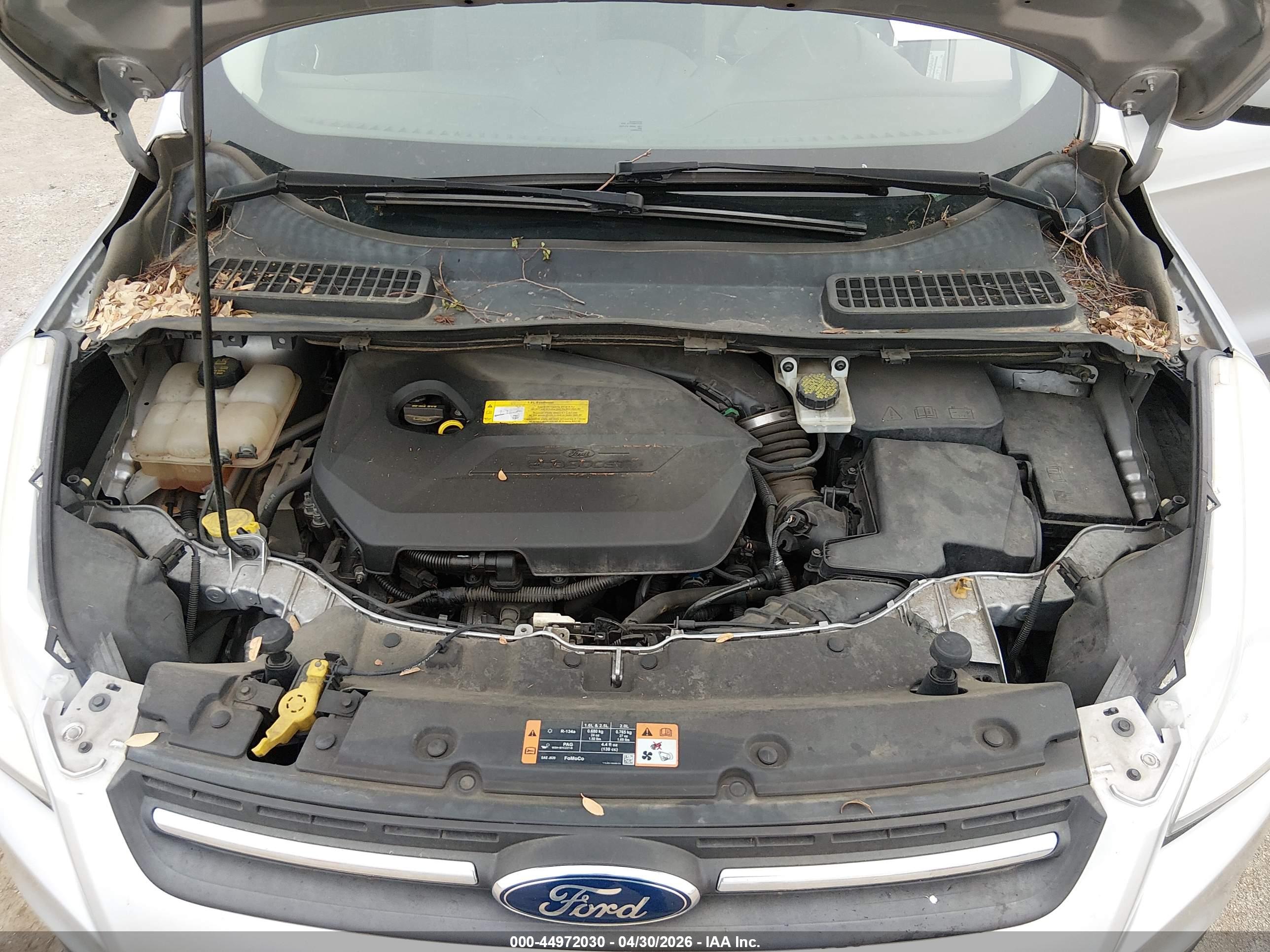 FORD ESCAPE image 10