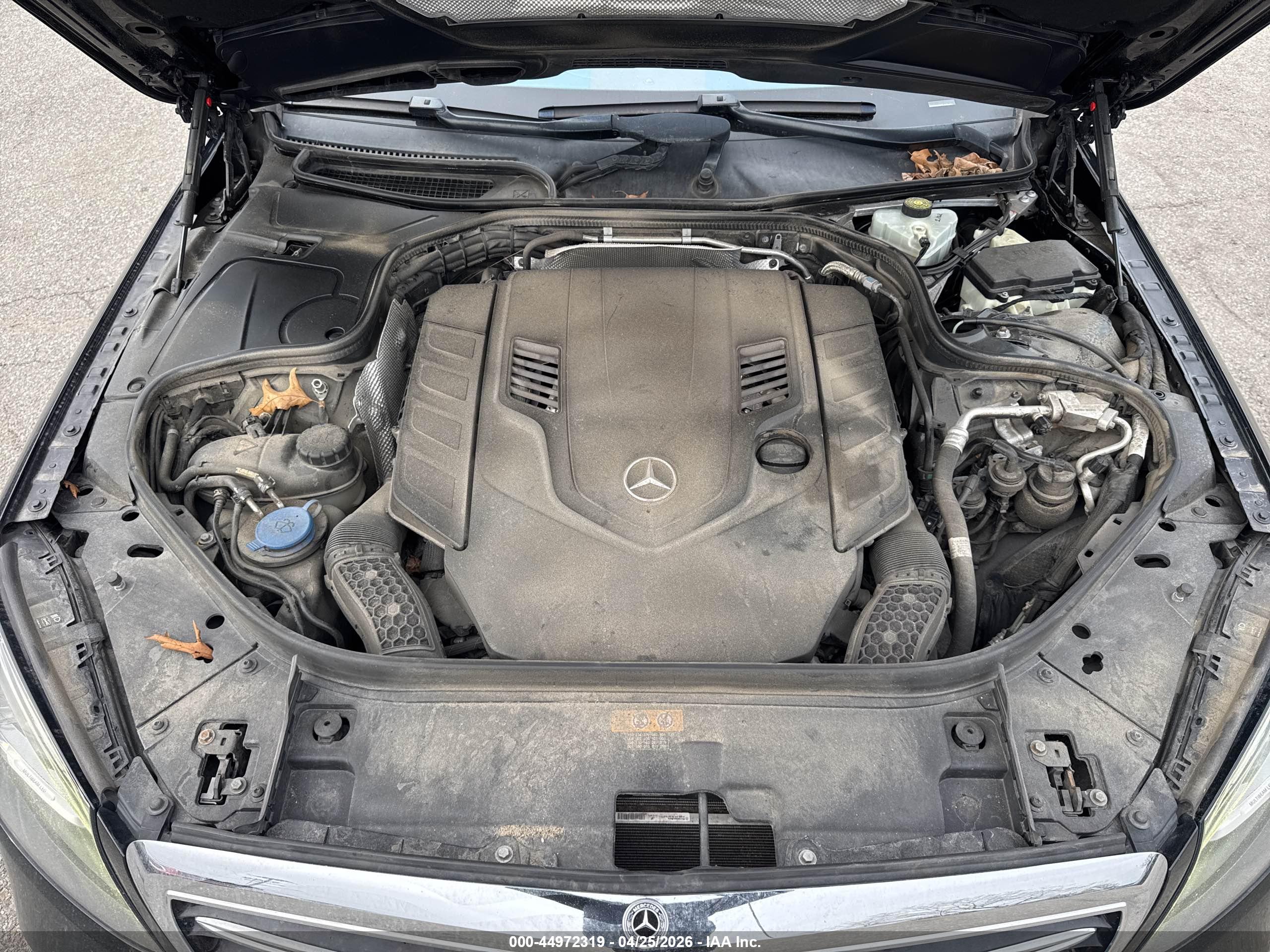 MERCEDES-BENZ S image 10