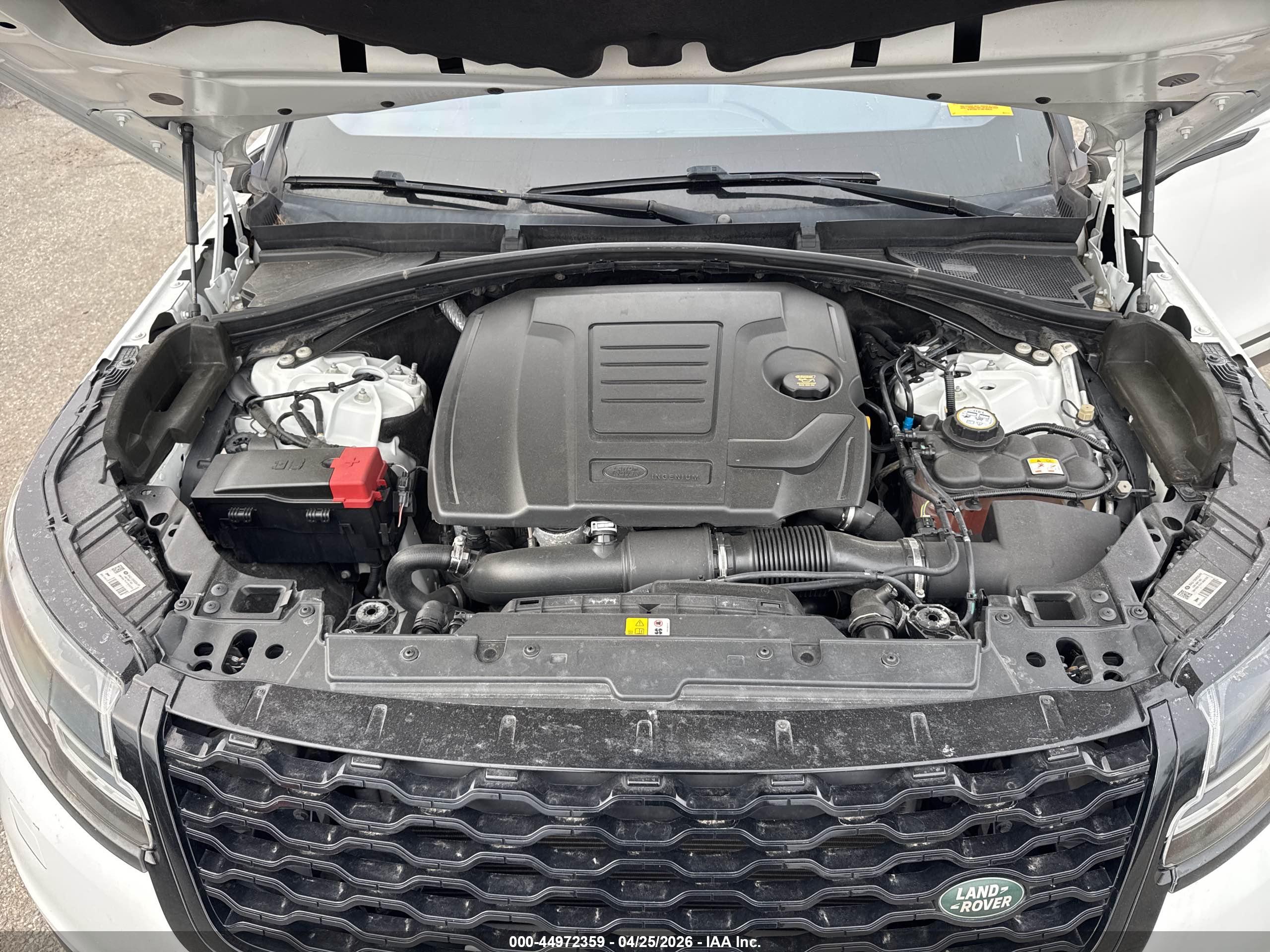 LAND ROVER image 10