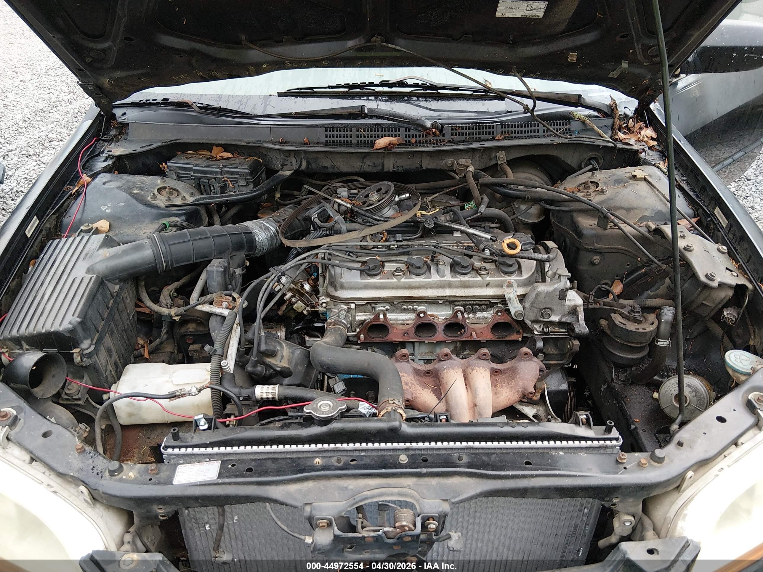 HONDA ACCORD image 10