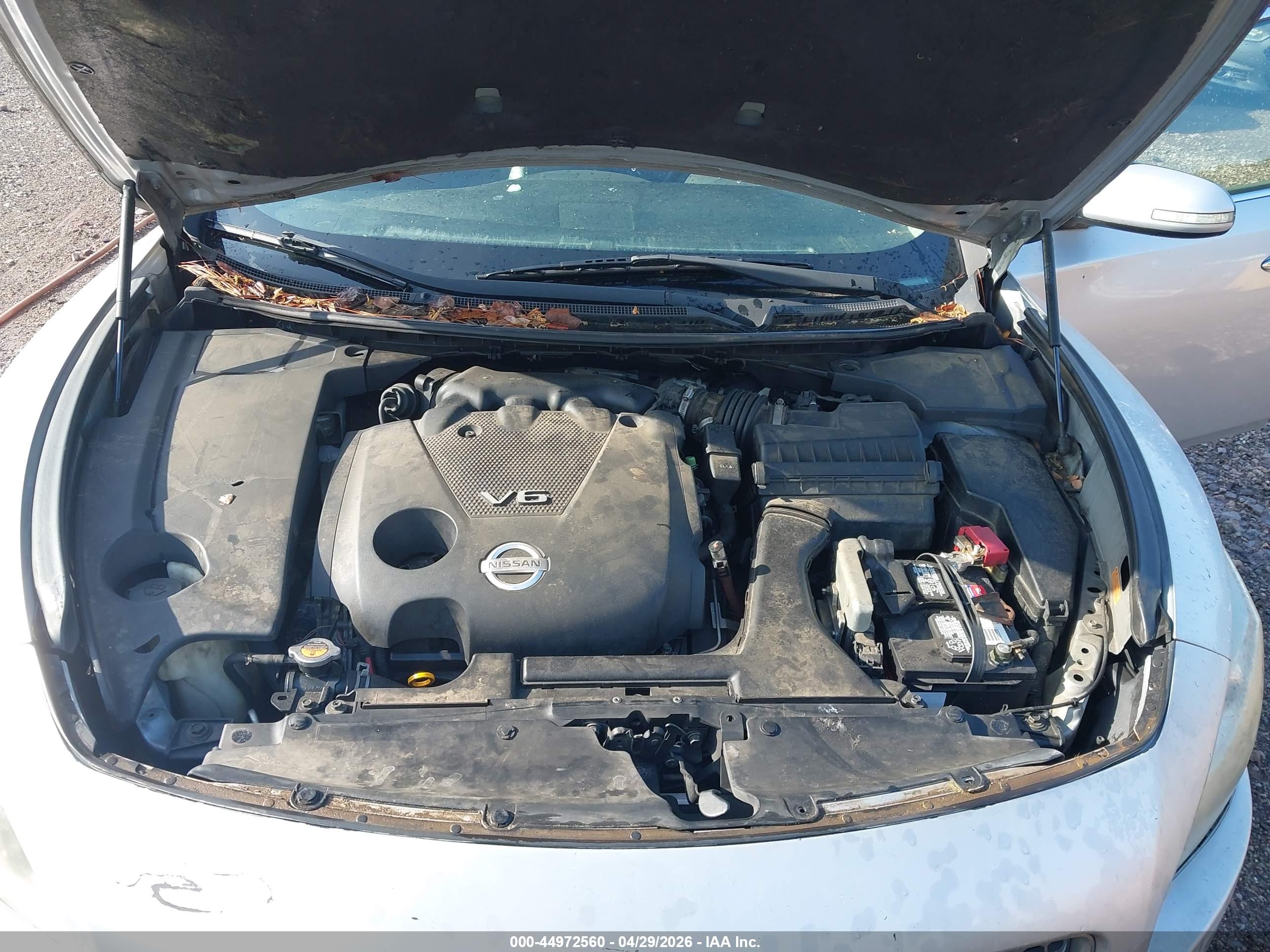NISSAN MAXIMA image 10