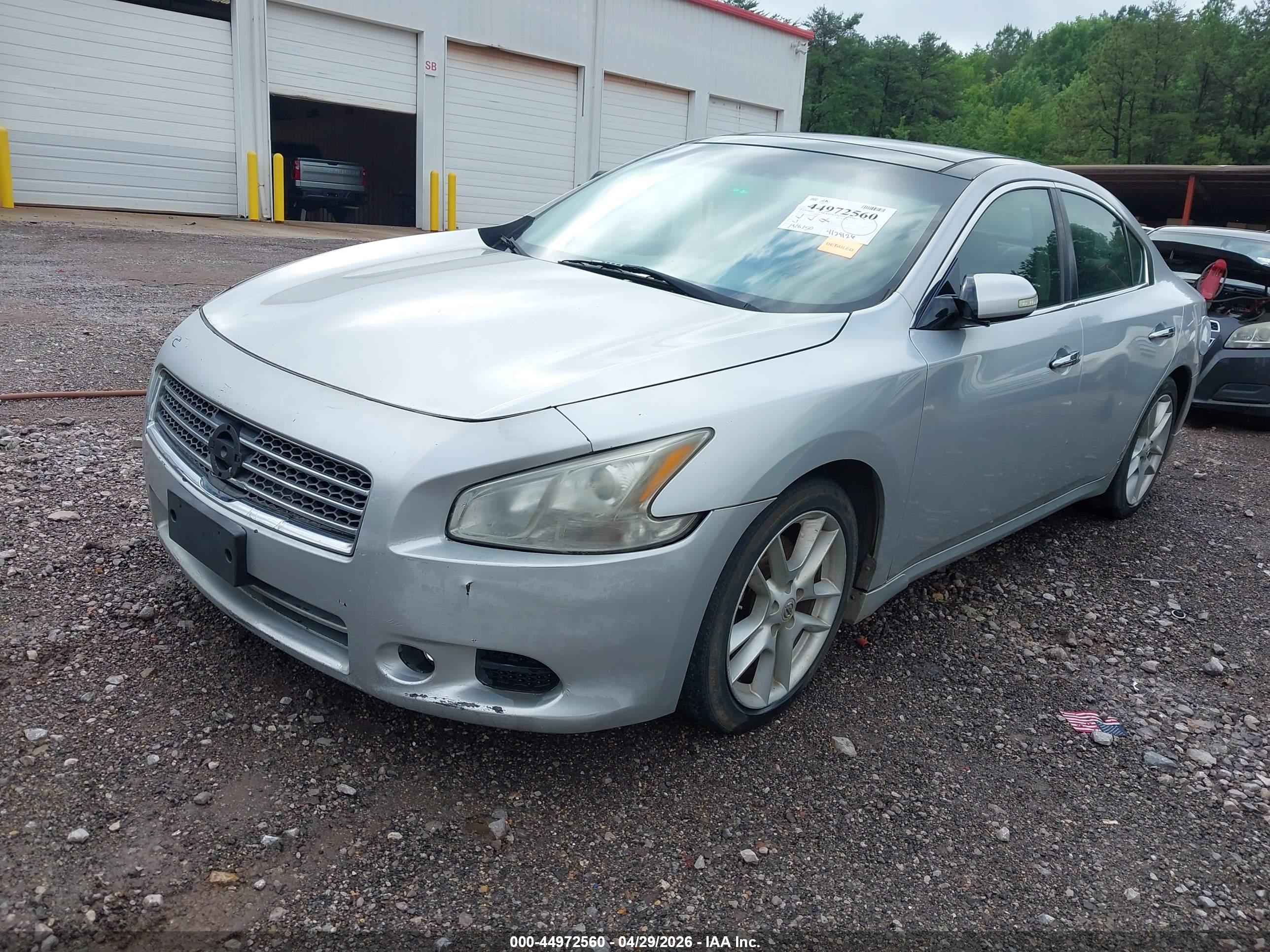 NISSAN MAXIMA image 2