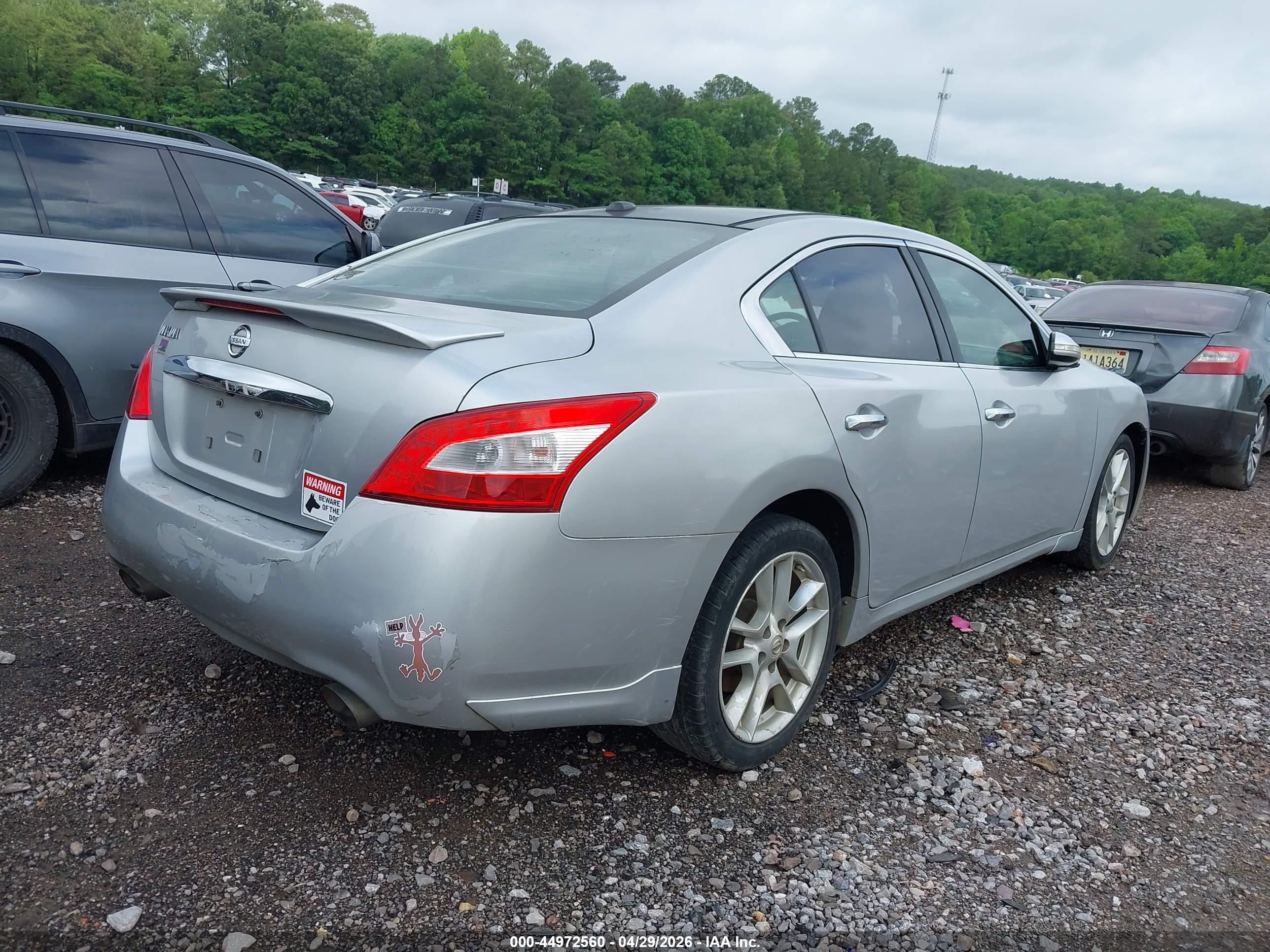 NISSAN MAXIMA image 4