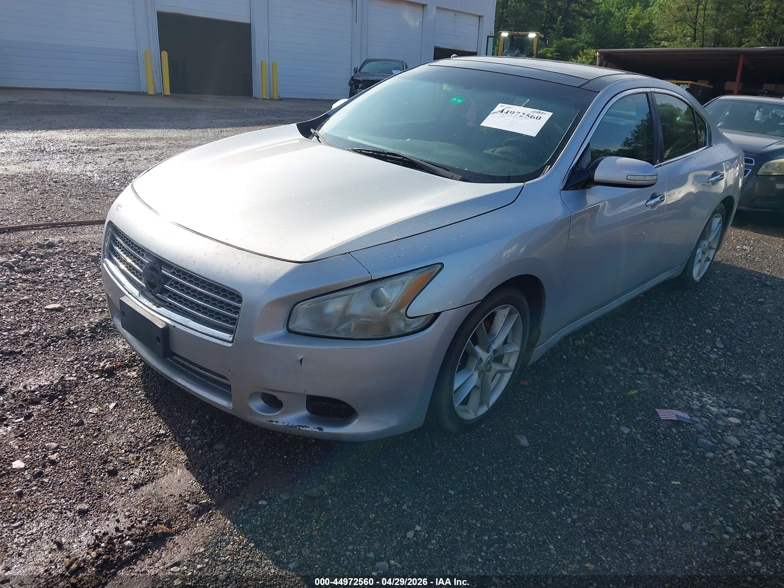 NISSAN MAXIMA image 6