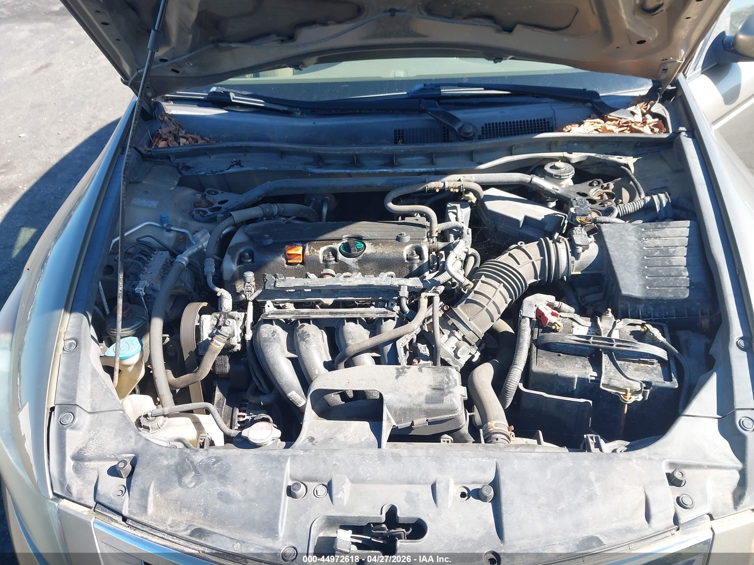 HONDA ACCORD image 10