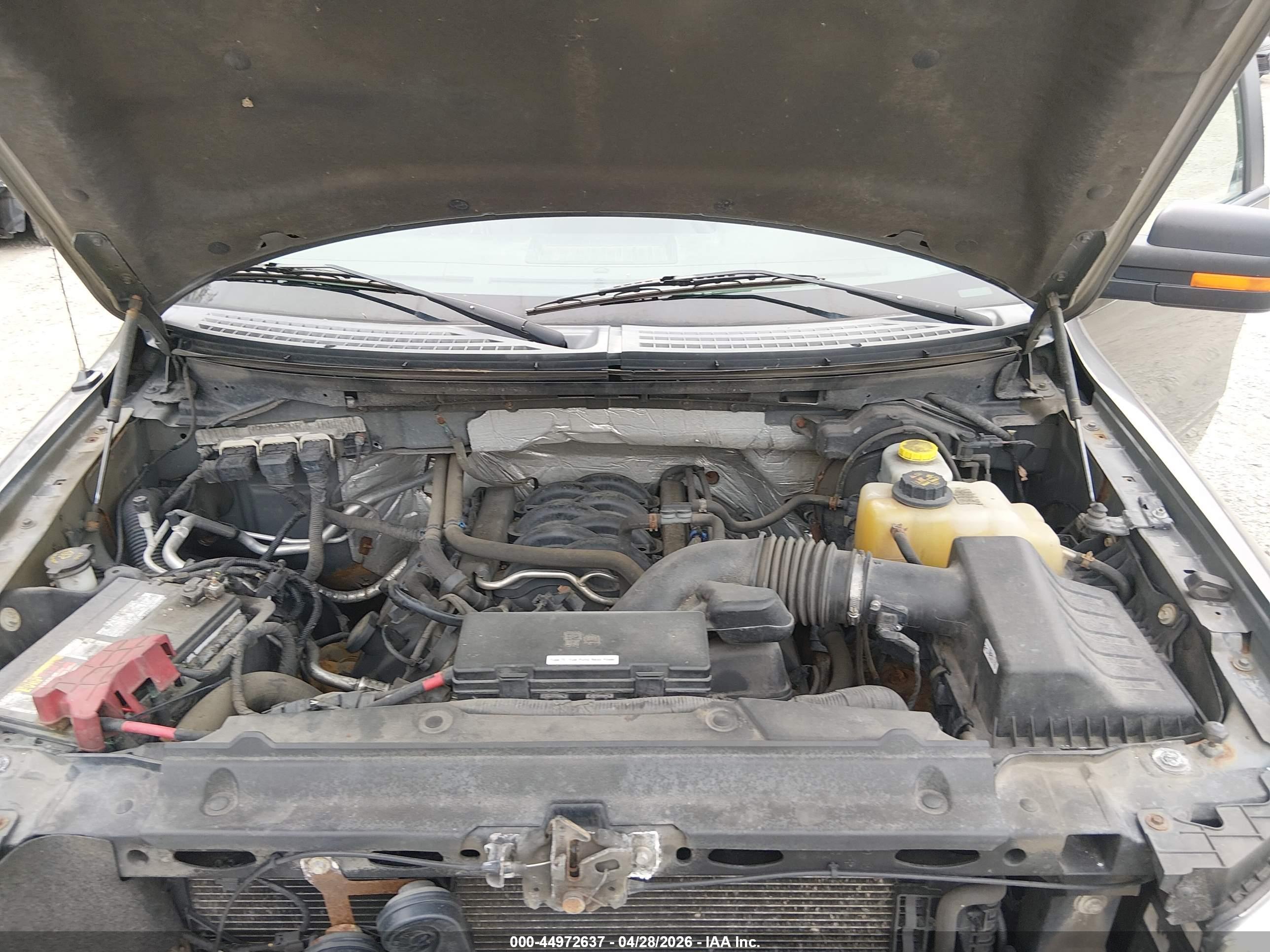 FORD F-150 image 10