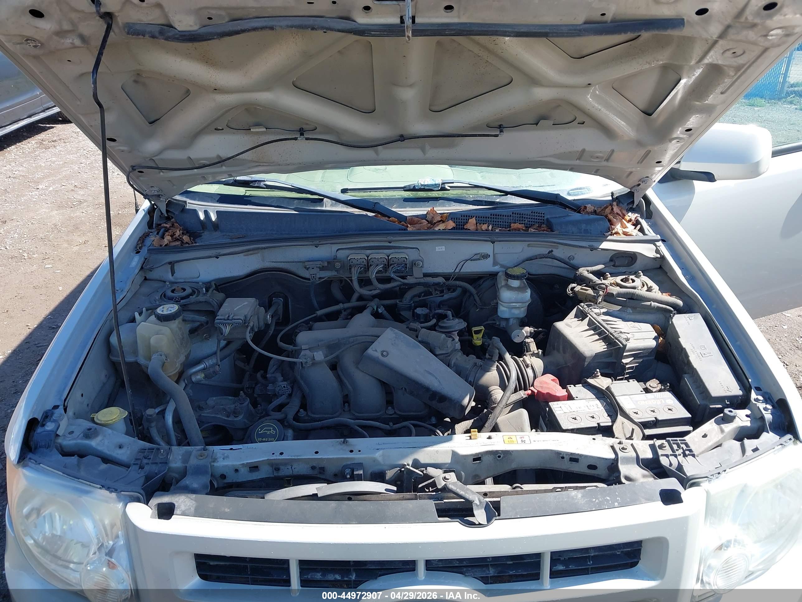 FORD ESCAPE image 10