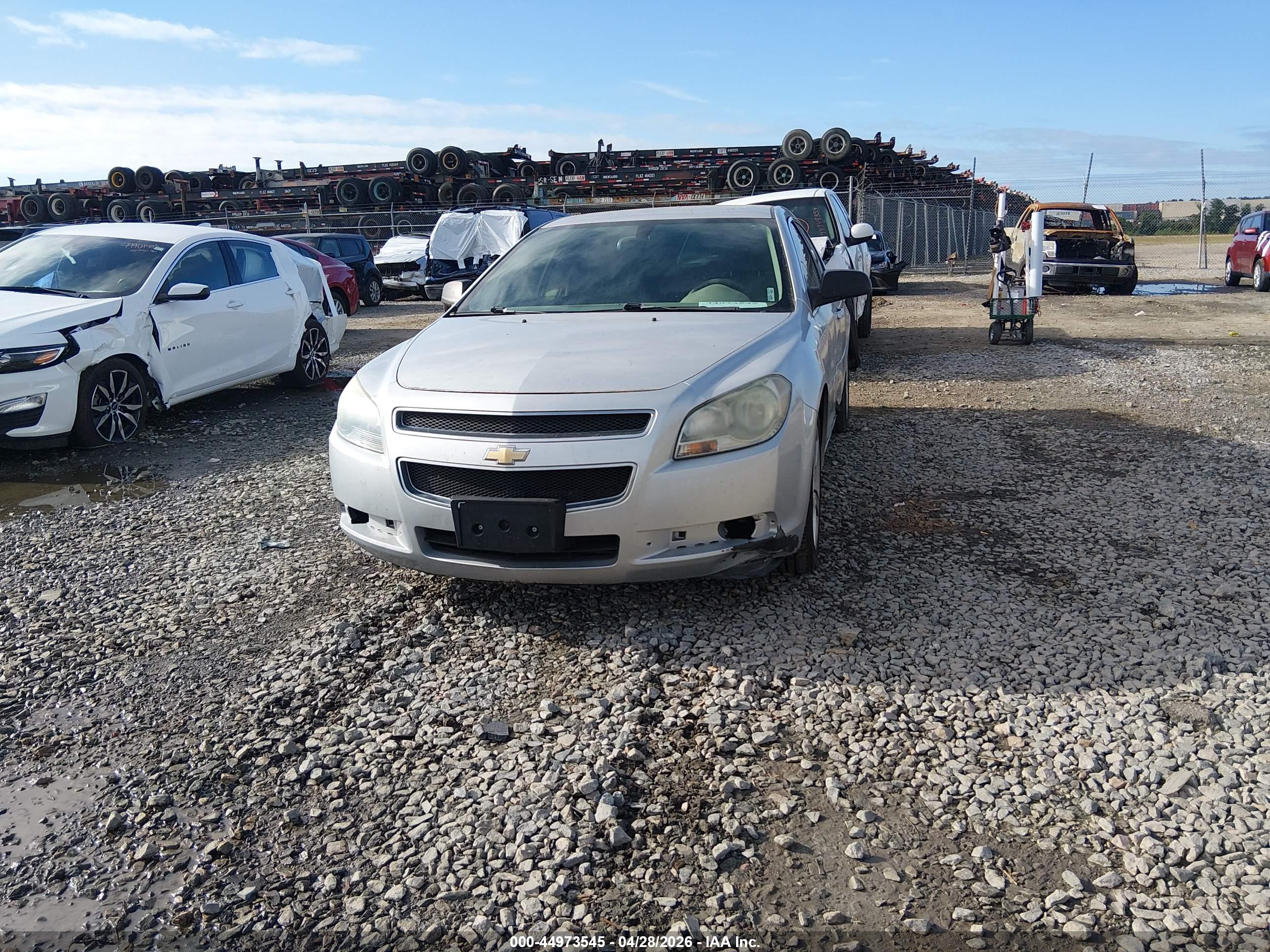 CHEVROLET MALIBU image 2