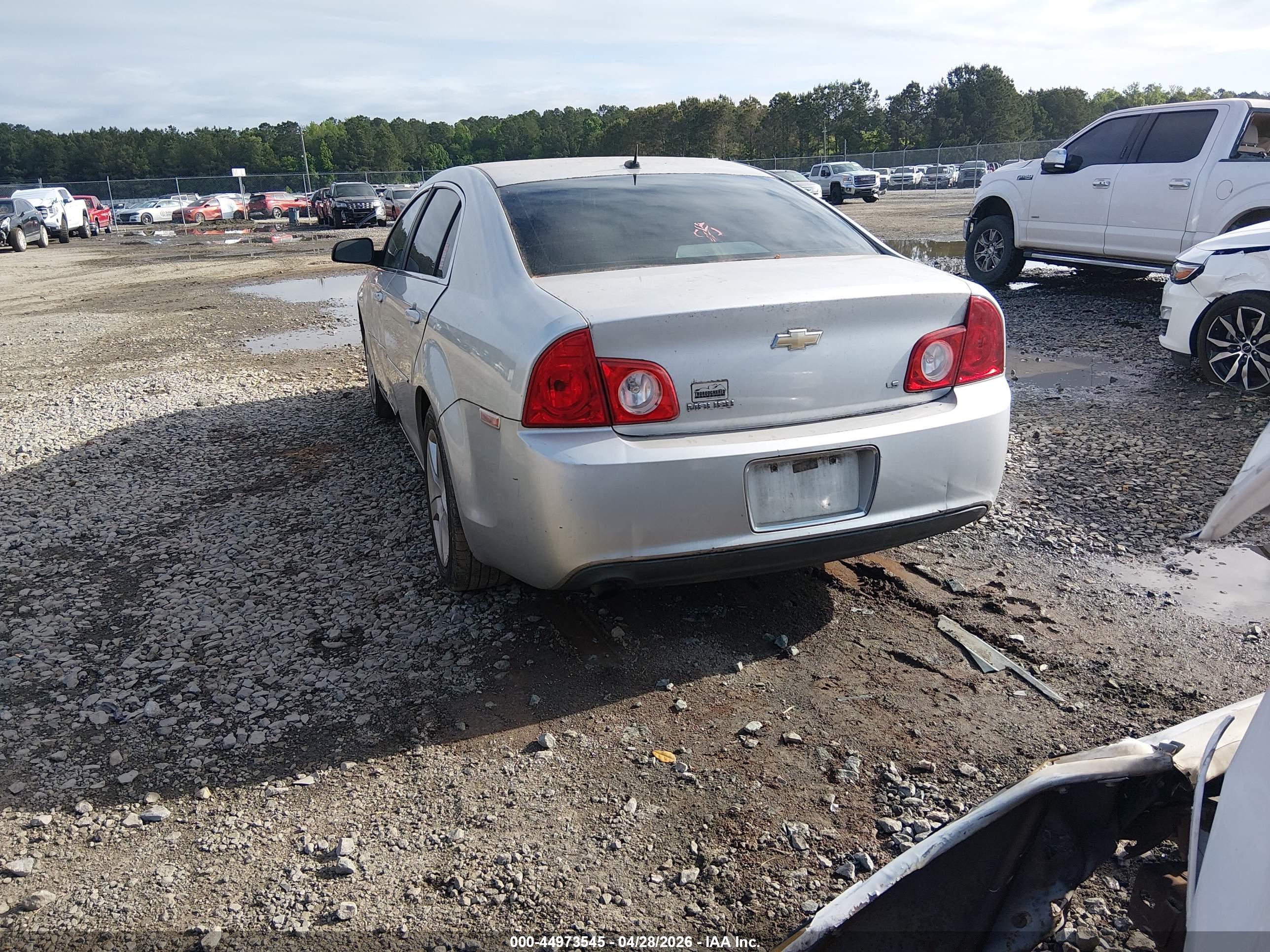 CHEVROLET MALIBU image 3