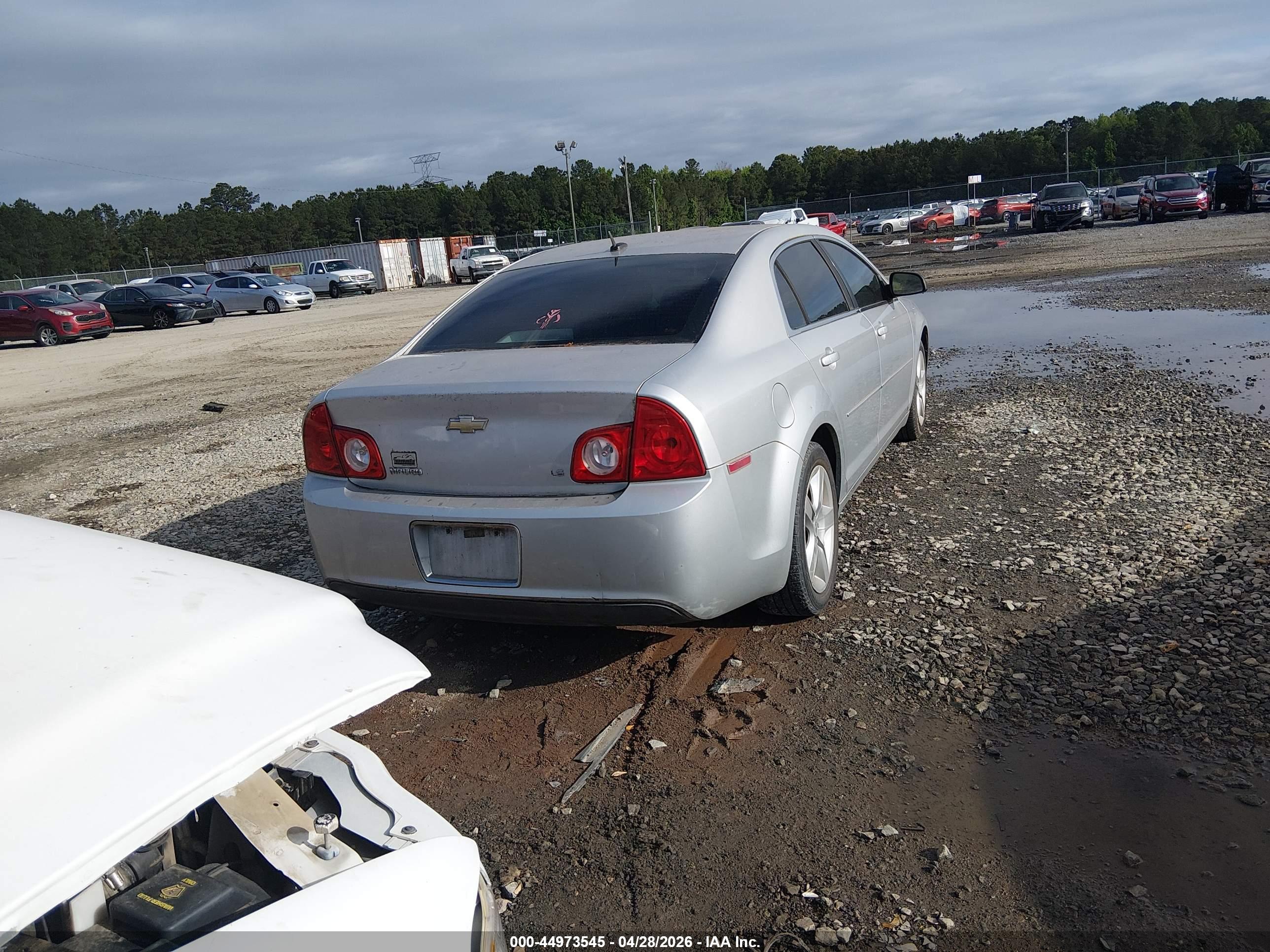 CHEVROLET MALIBU image 4