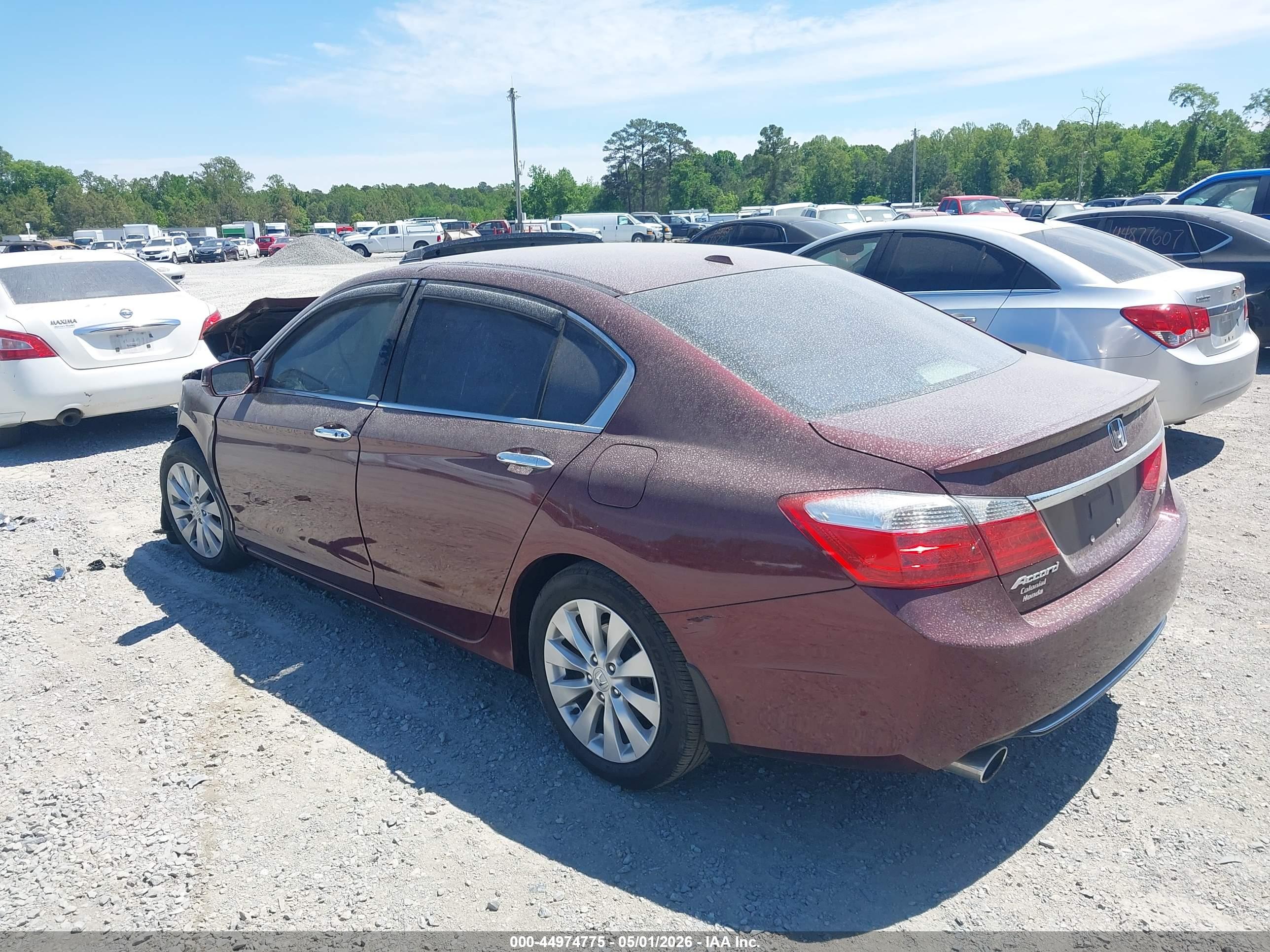 HONDA ACCORD image 3