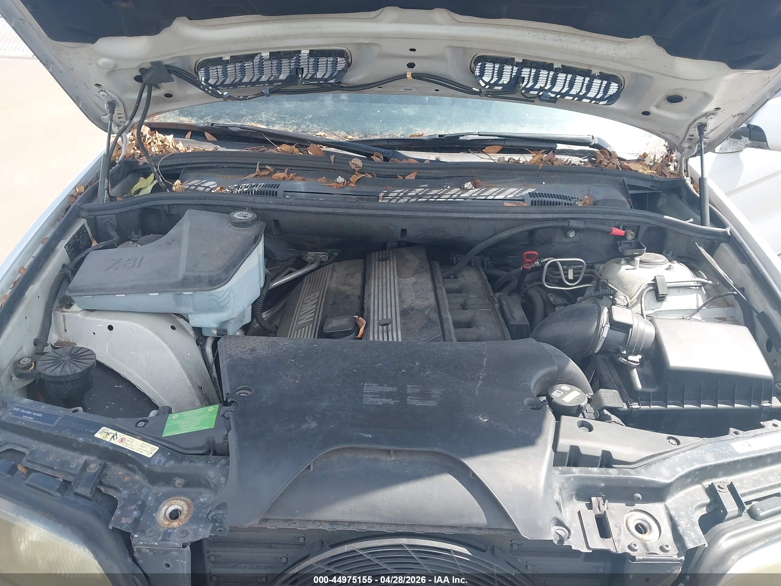 BMW X5 image 10