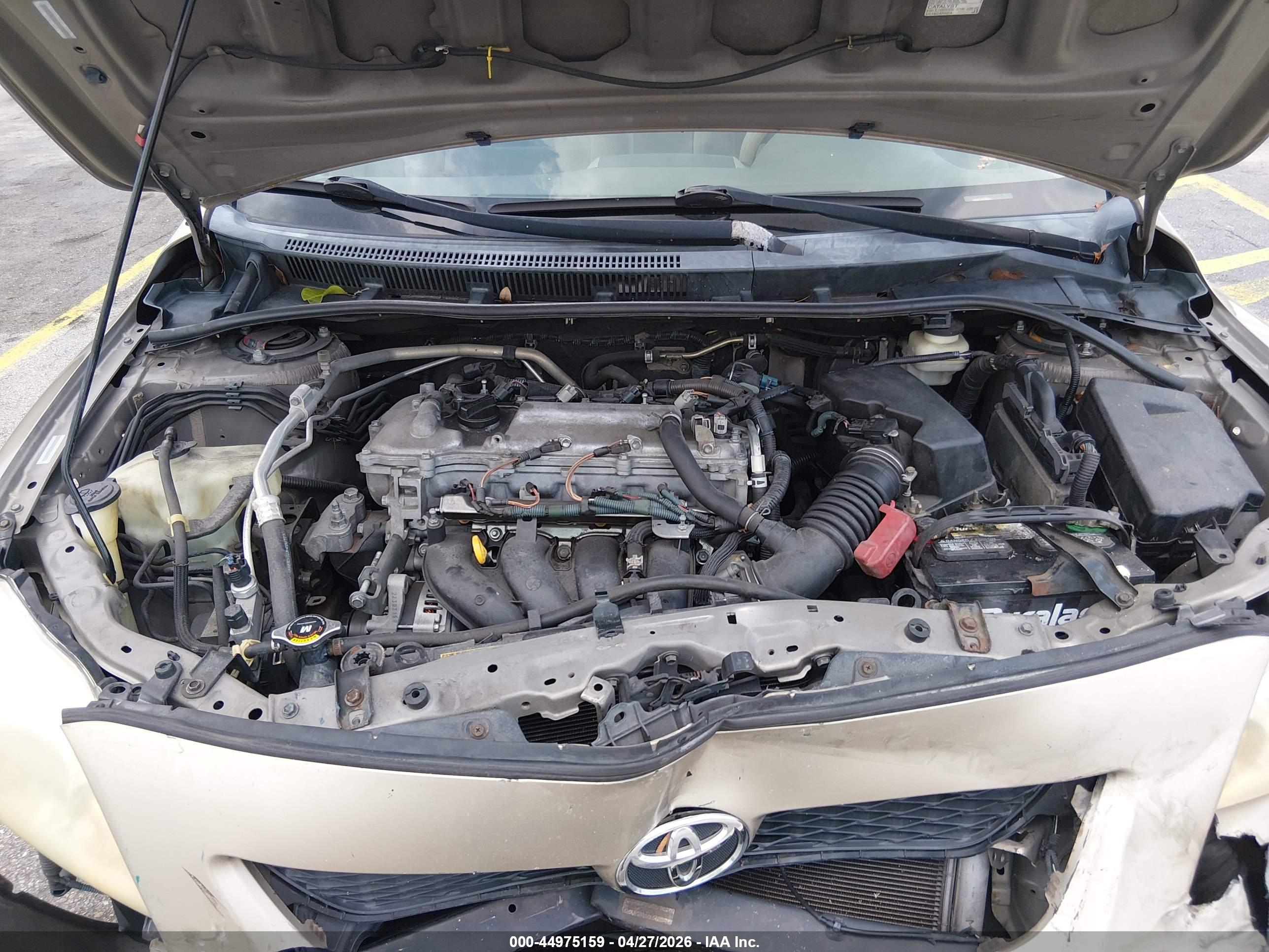 TOYOTA COROLLA image 10