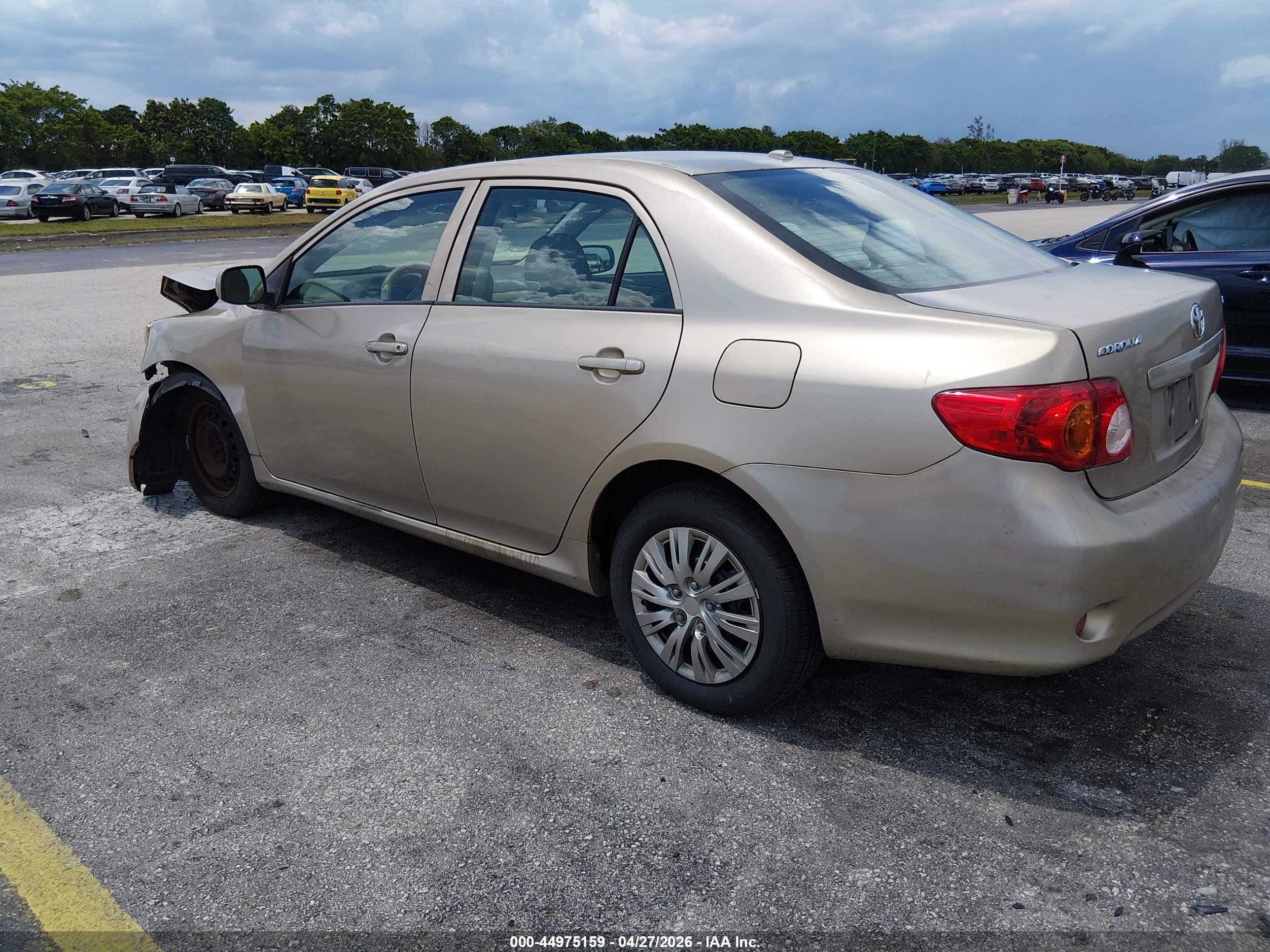 TOYOTA COROLLA image 3