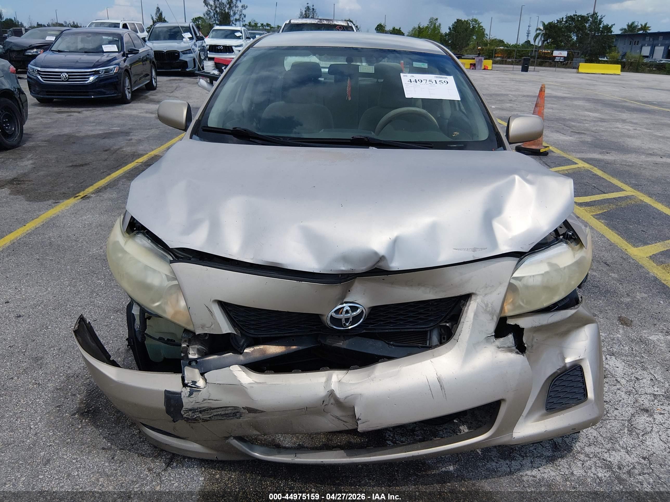 TOYOTA COROLLA image 6