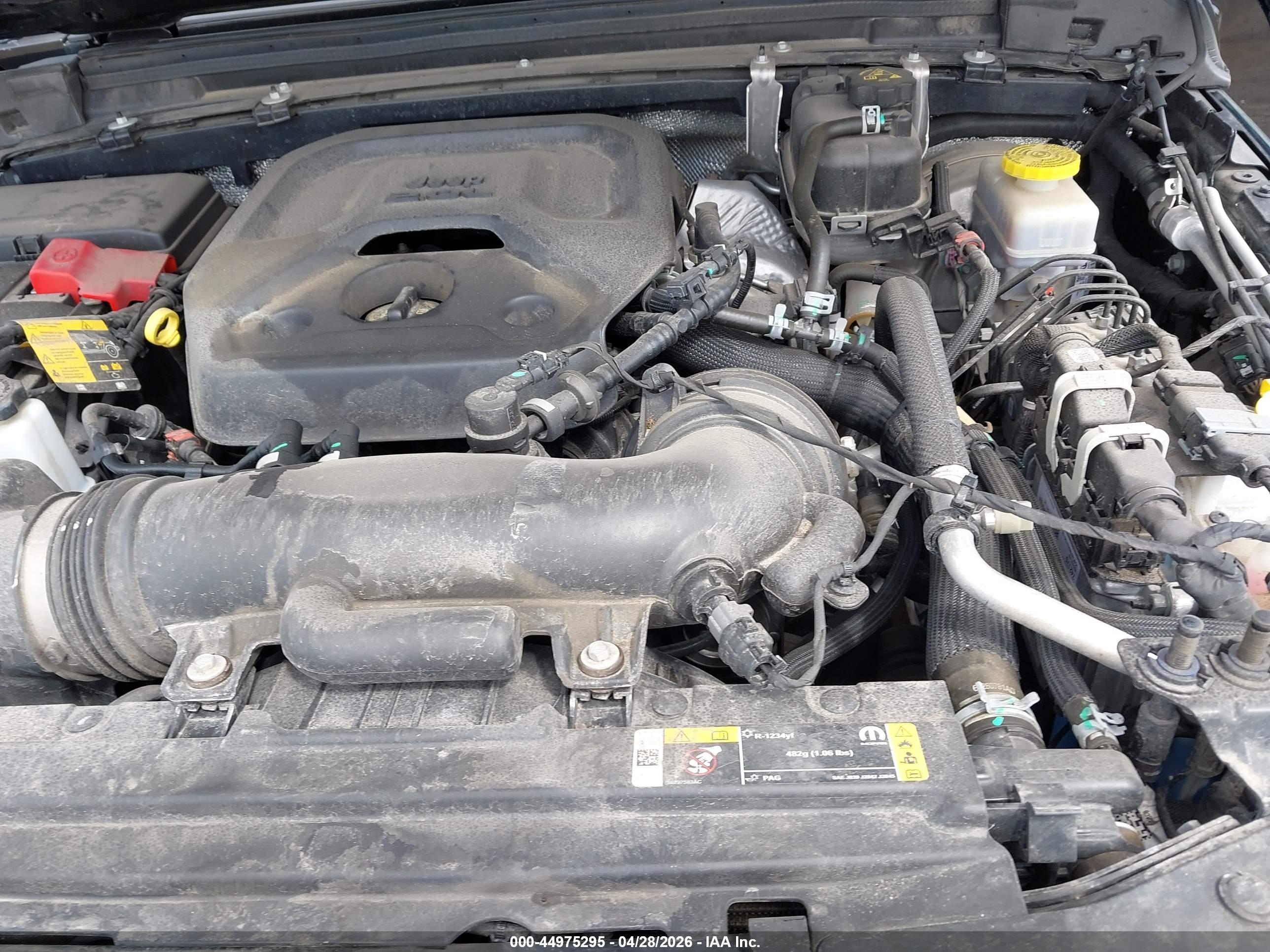 JEEP WRANGLER image 10