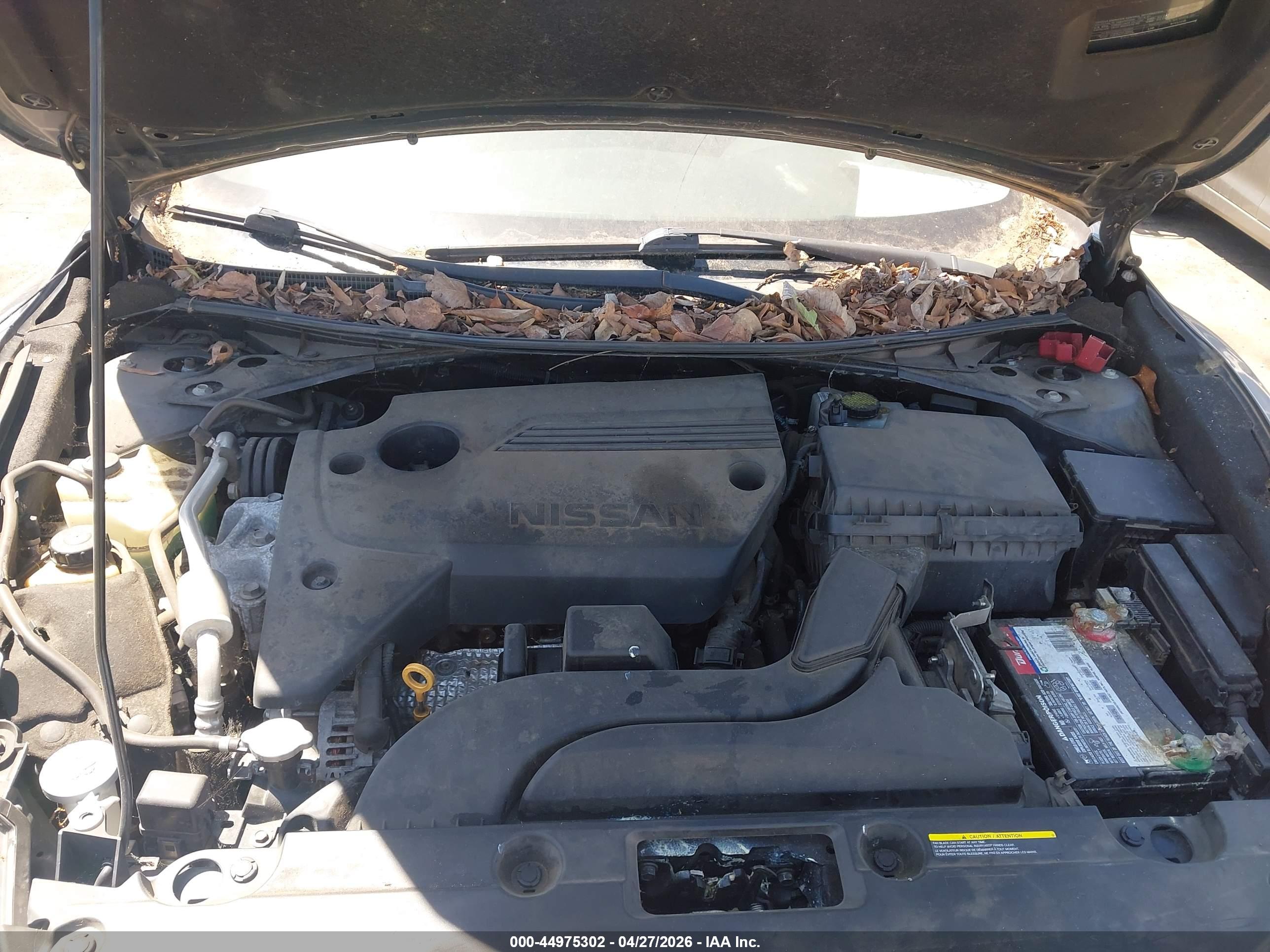 NISSAN ALTIMA image 10