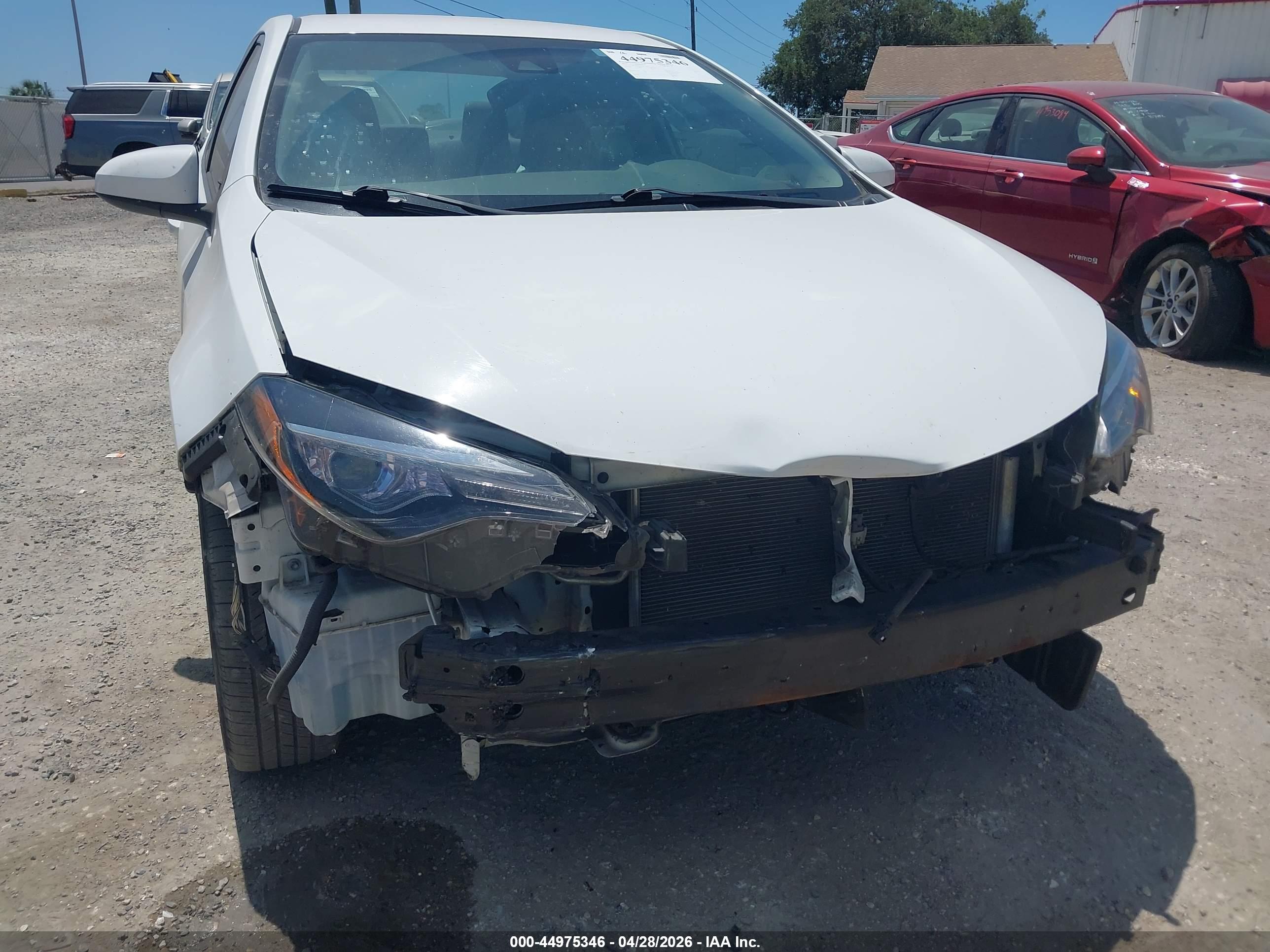 TOYOTA COROLLA image 6
