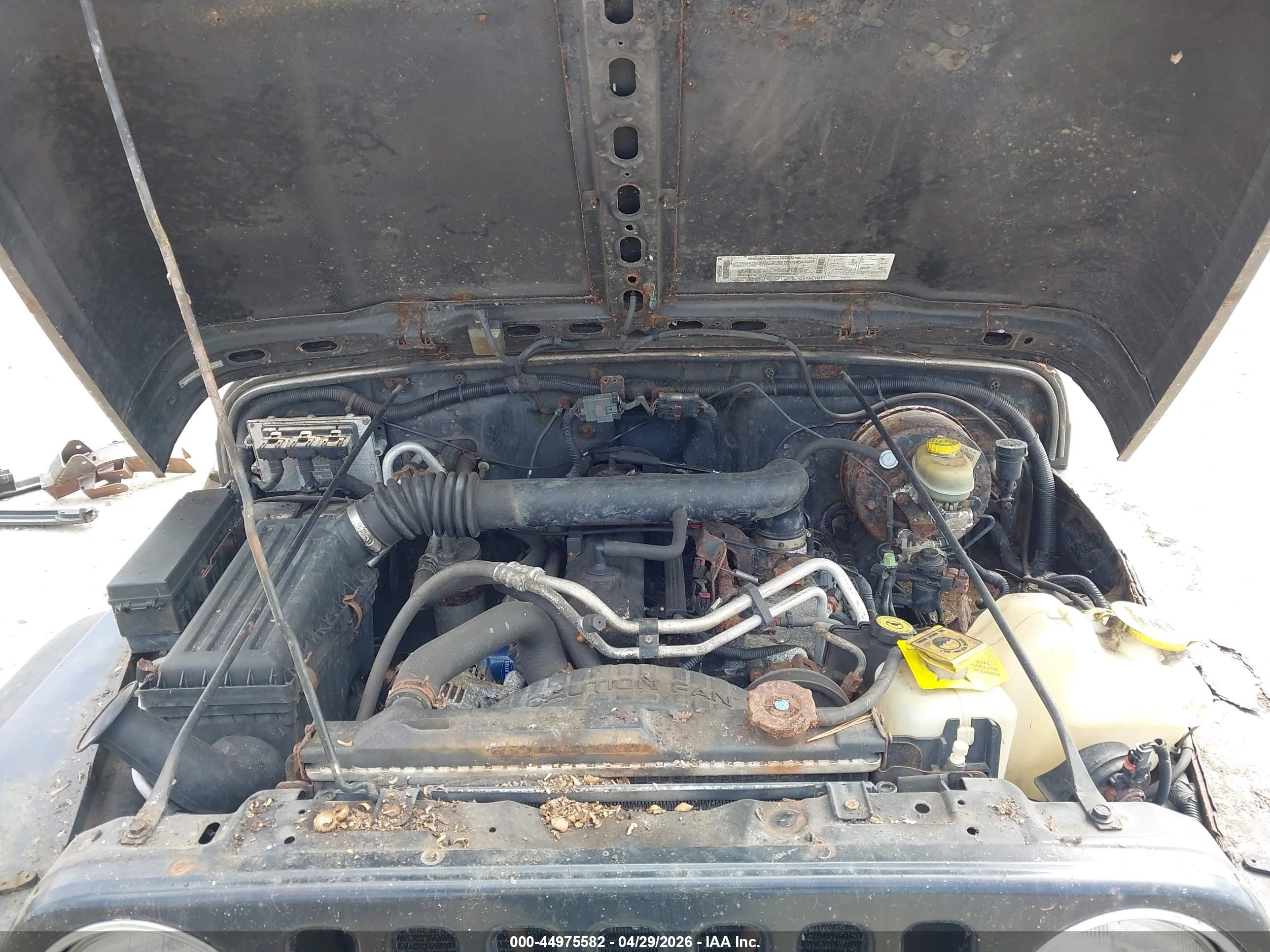 JEEP WRANGLER image 10