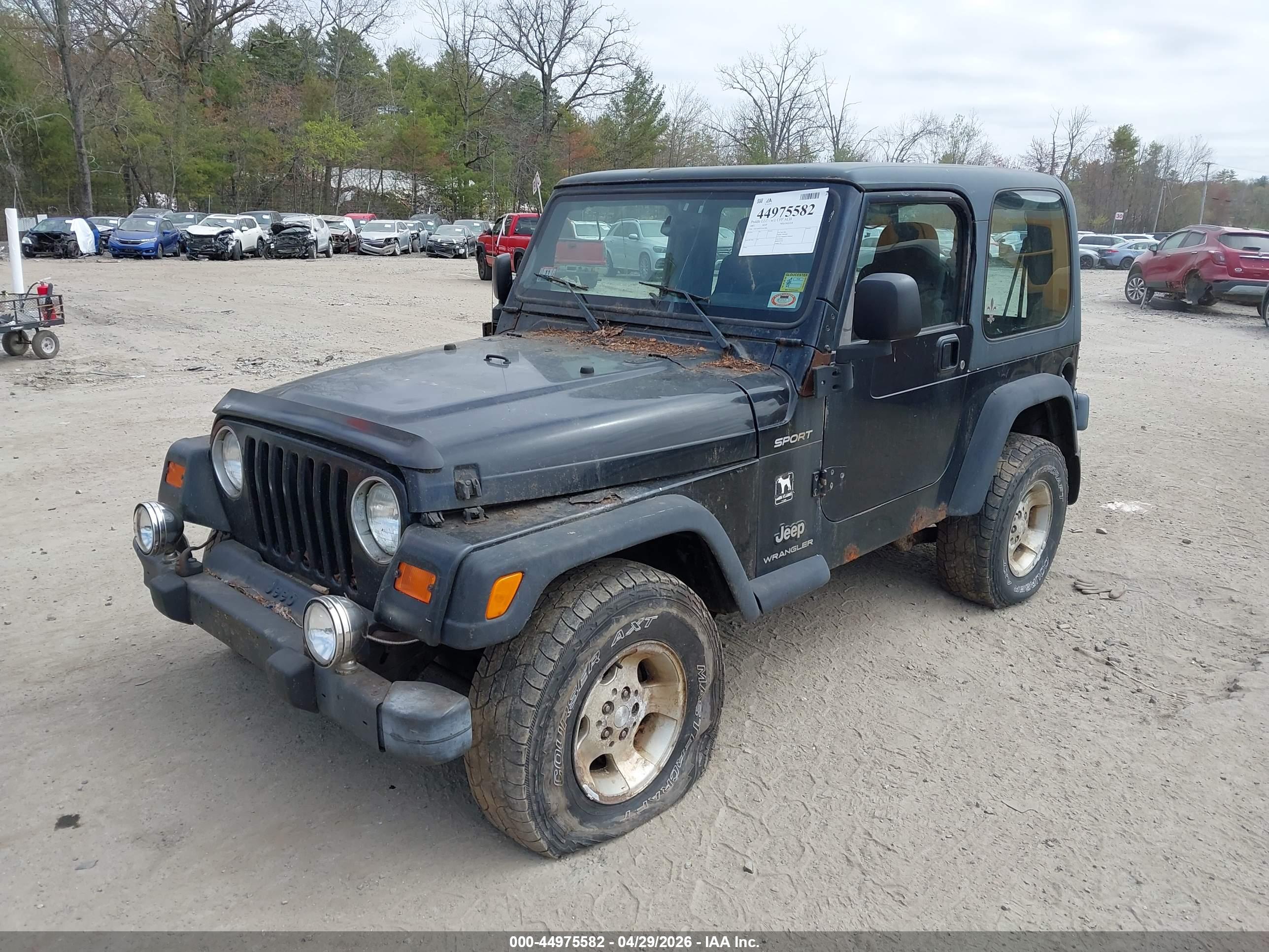 JEEP WRANGLER image 2