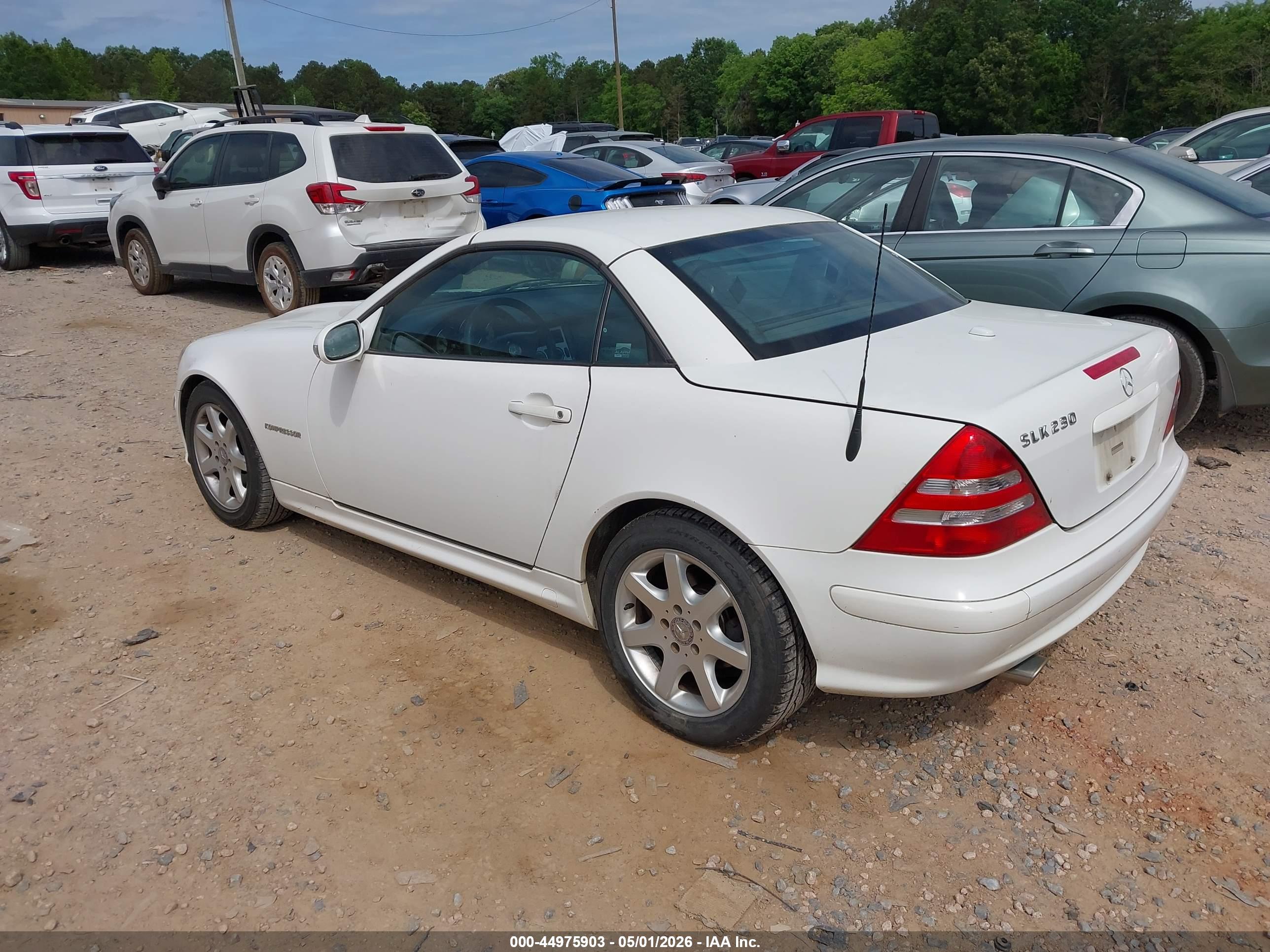 MERCEDES-BENZ SLK image 3
