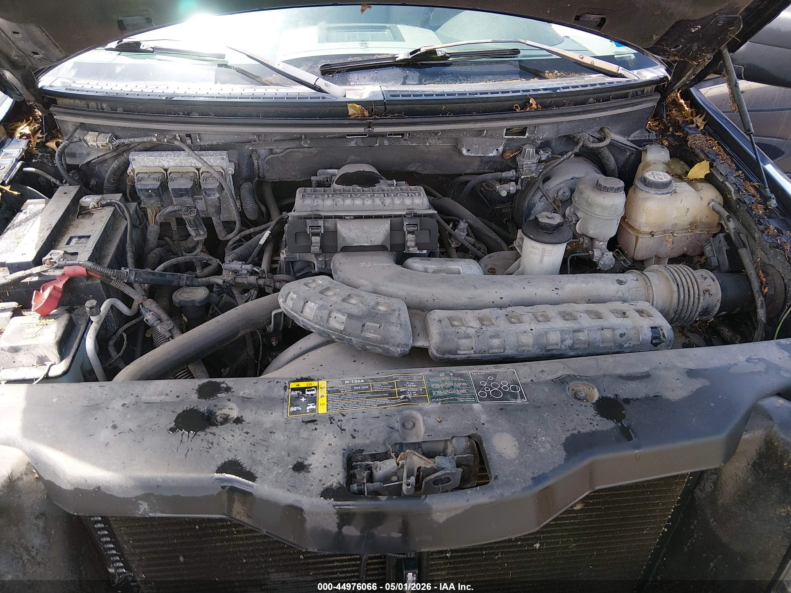 FORD F-150 image 10