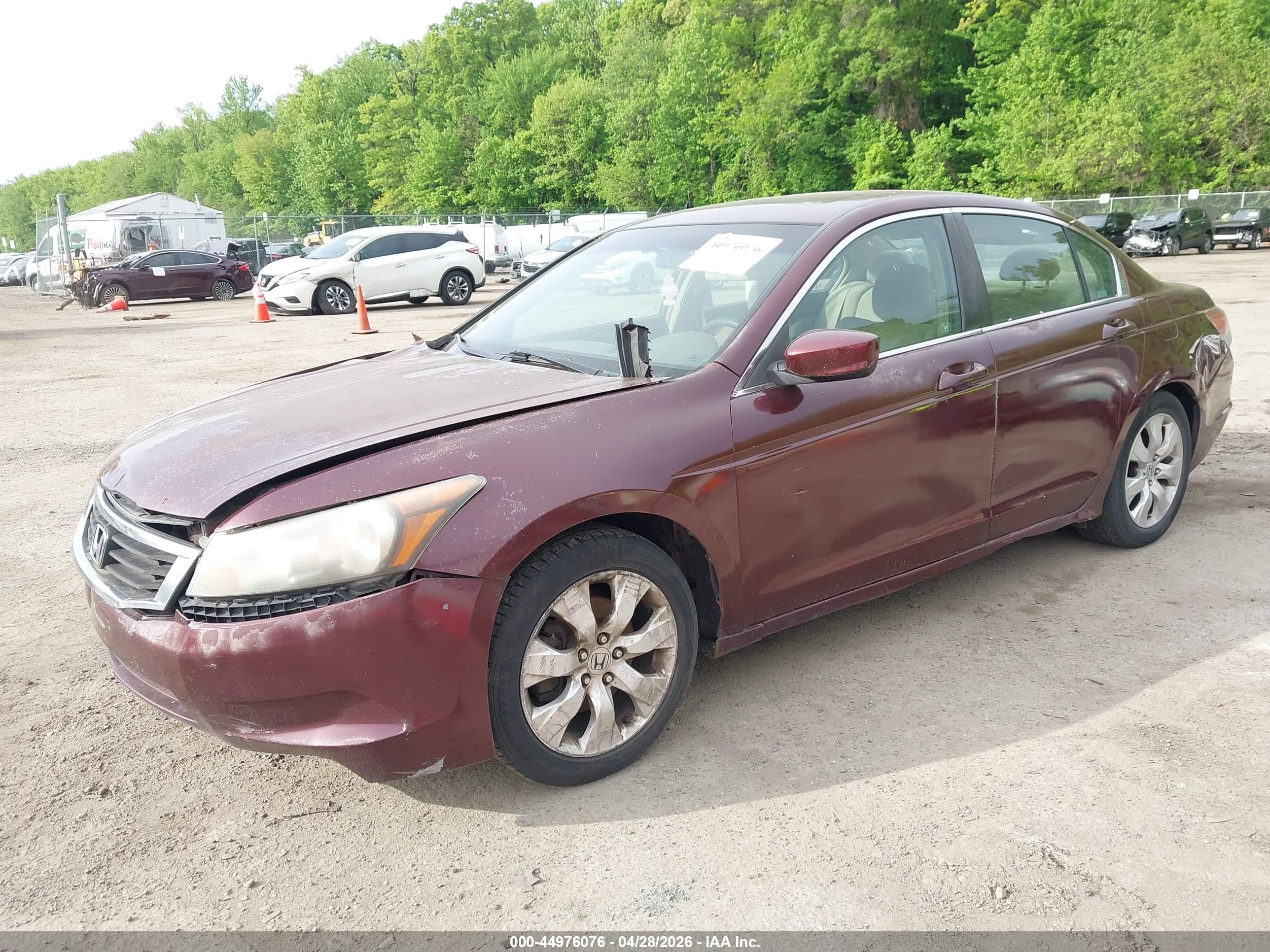 HONDA ACCORD image 2