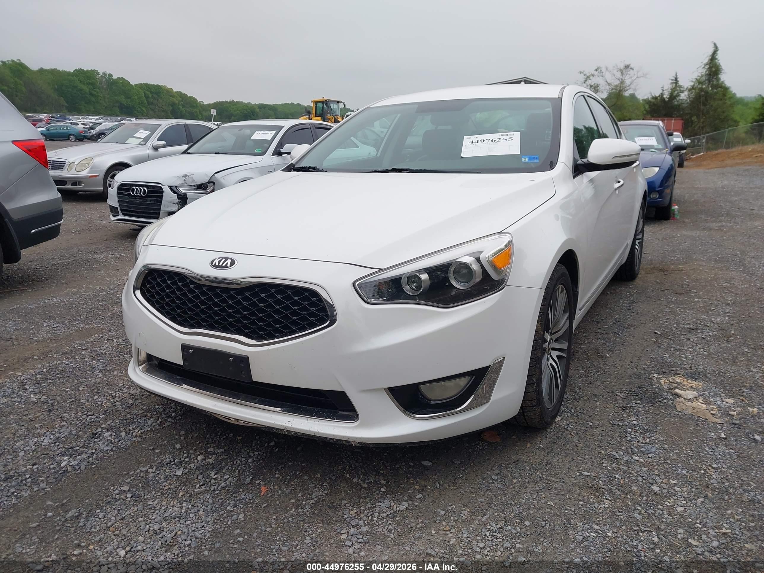 KIA CADENZA image 6