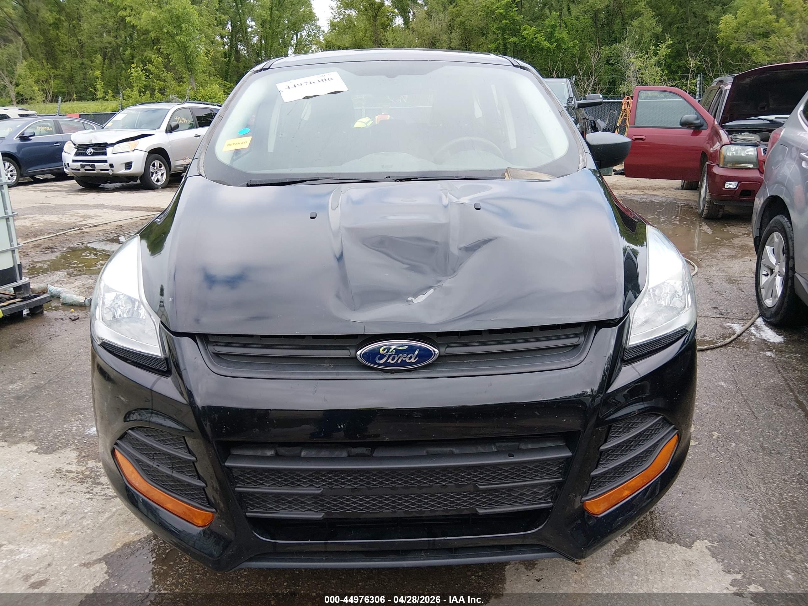 FORD ESCAPE image 6