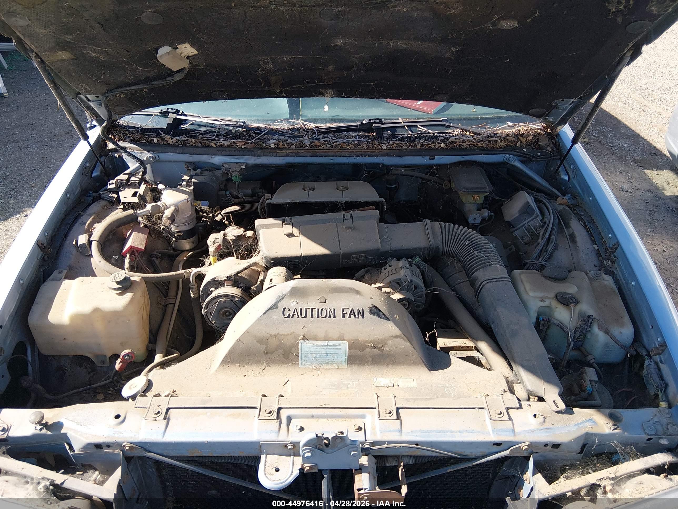 BUICK ROADMASTER image 10