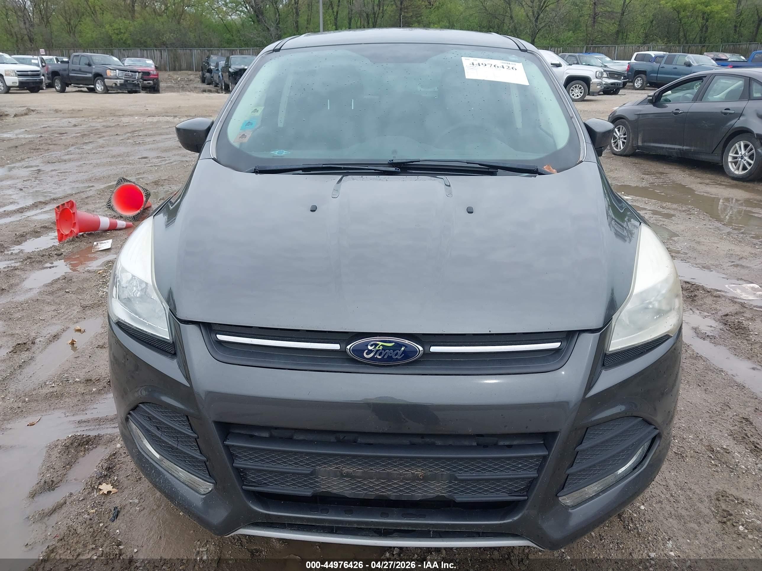 FORD ESCAPE image 6