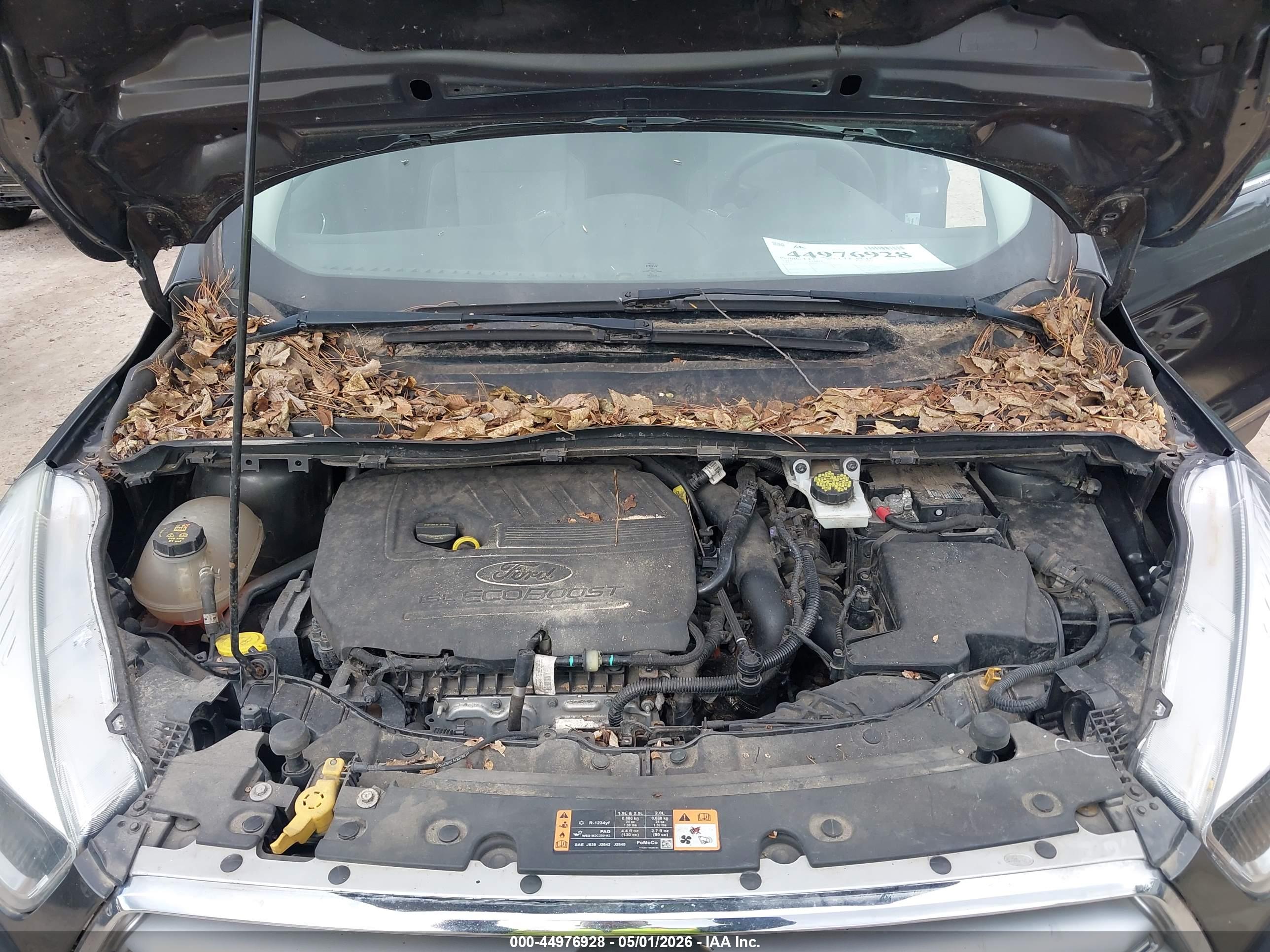 FORD ESCAPE image 10