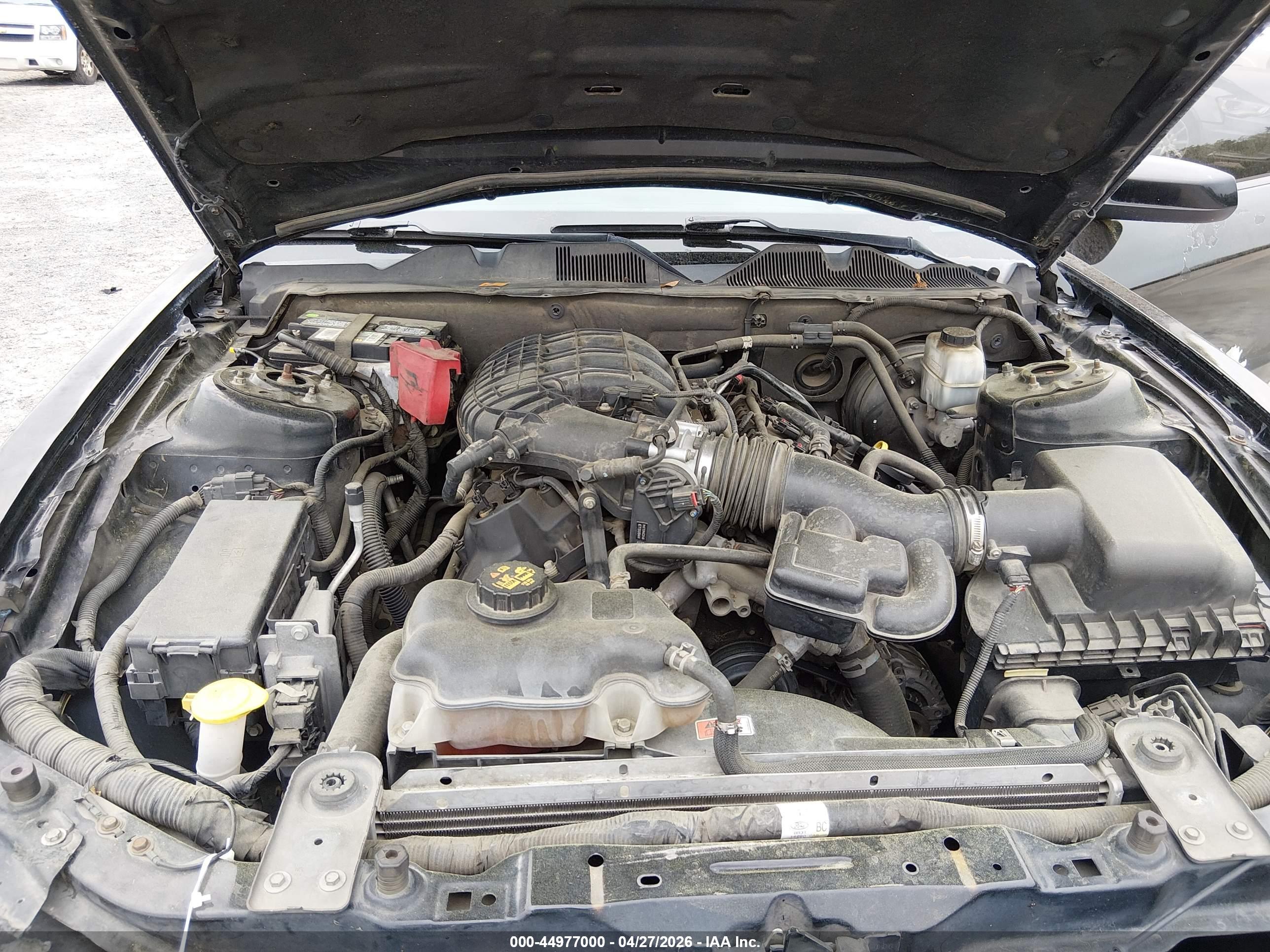 FORD MUSTANG image 10