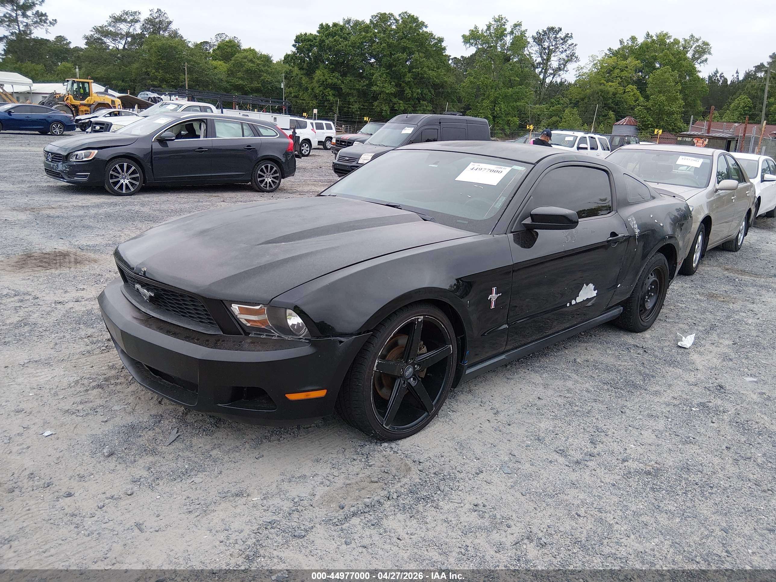 FORD MUSTANG image 2