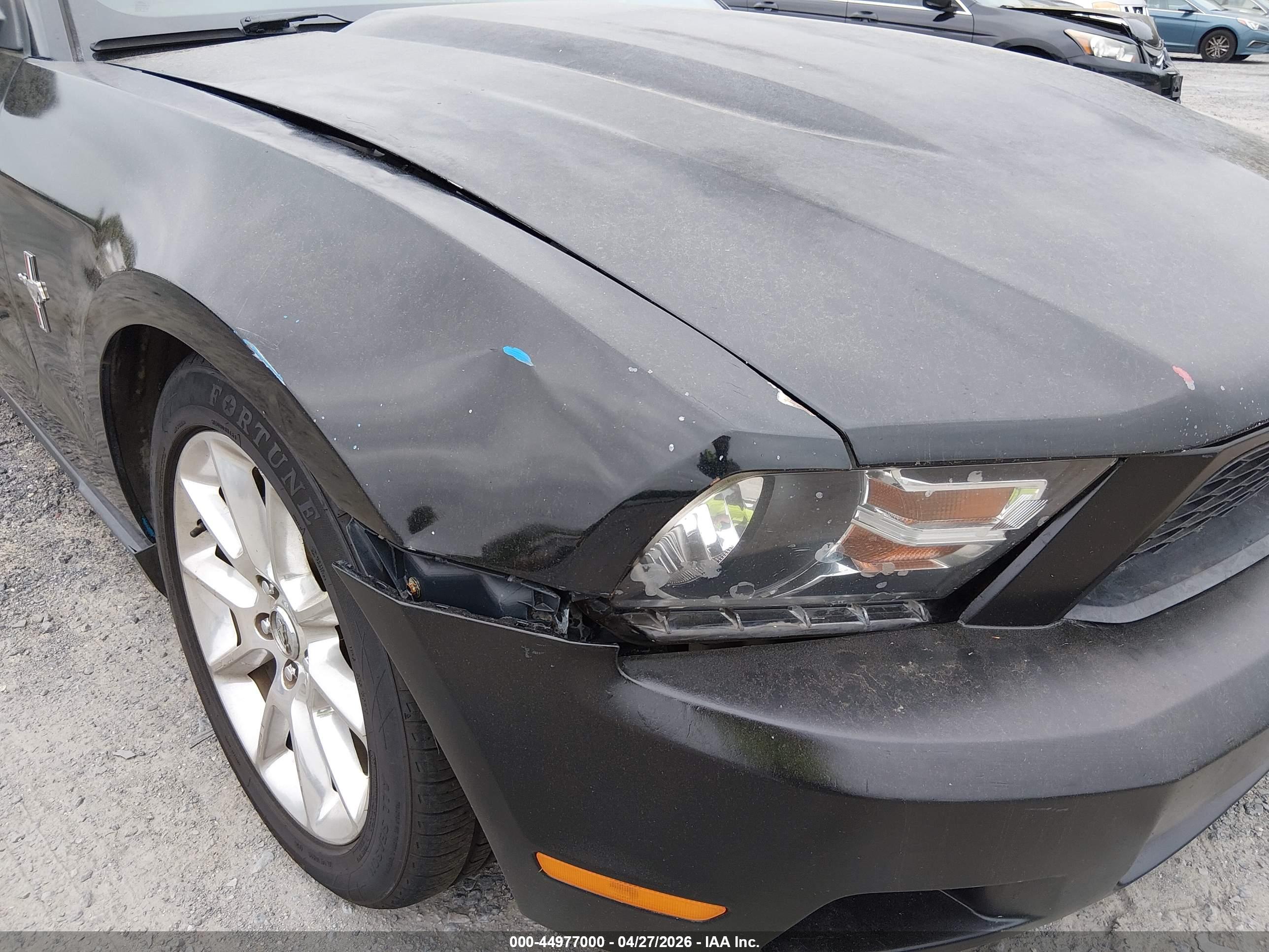 FORD MUSTANG image 6