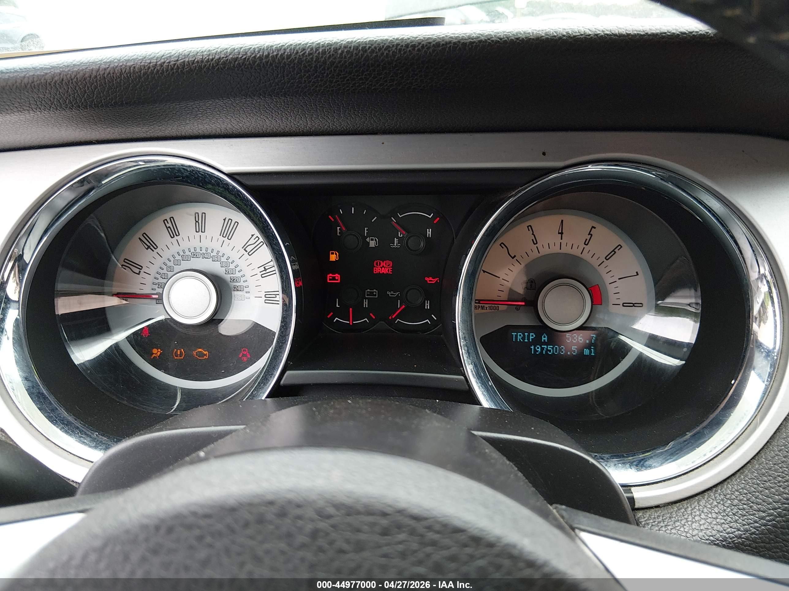 FORD MUSTANG image 7