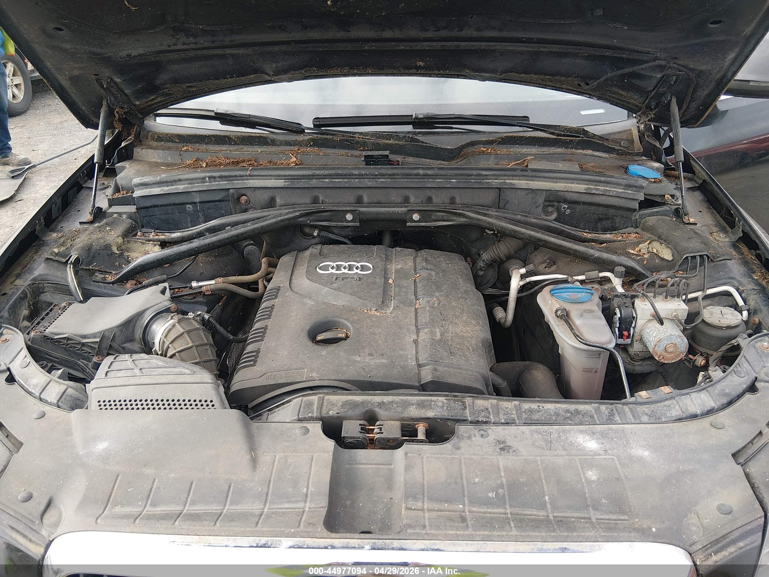AUDI Q5 image 10