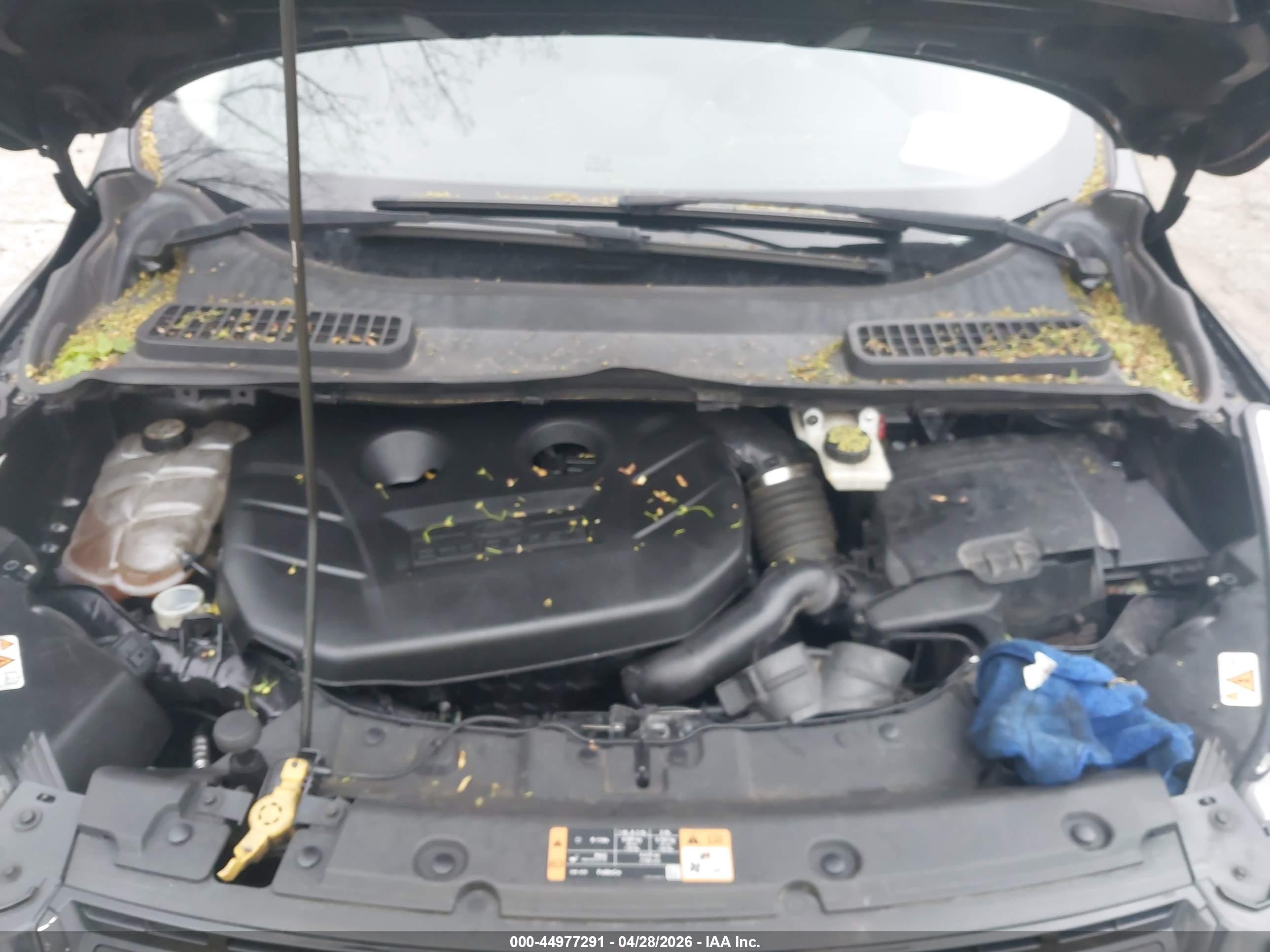 FORD ESCAPE image 10