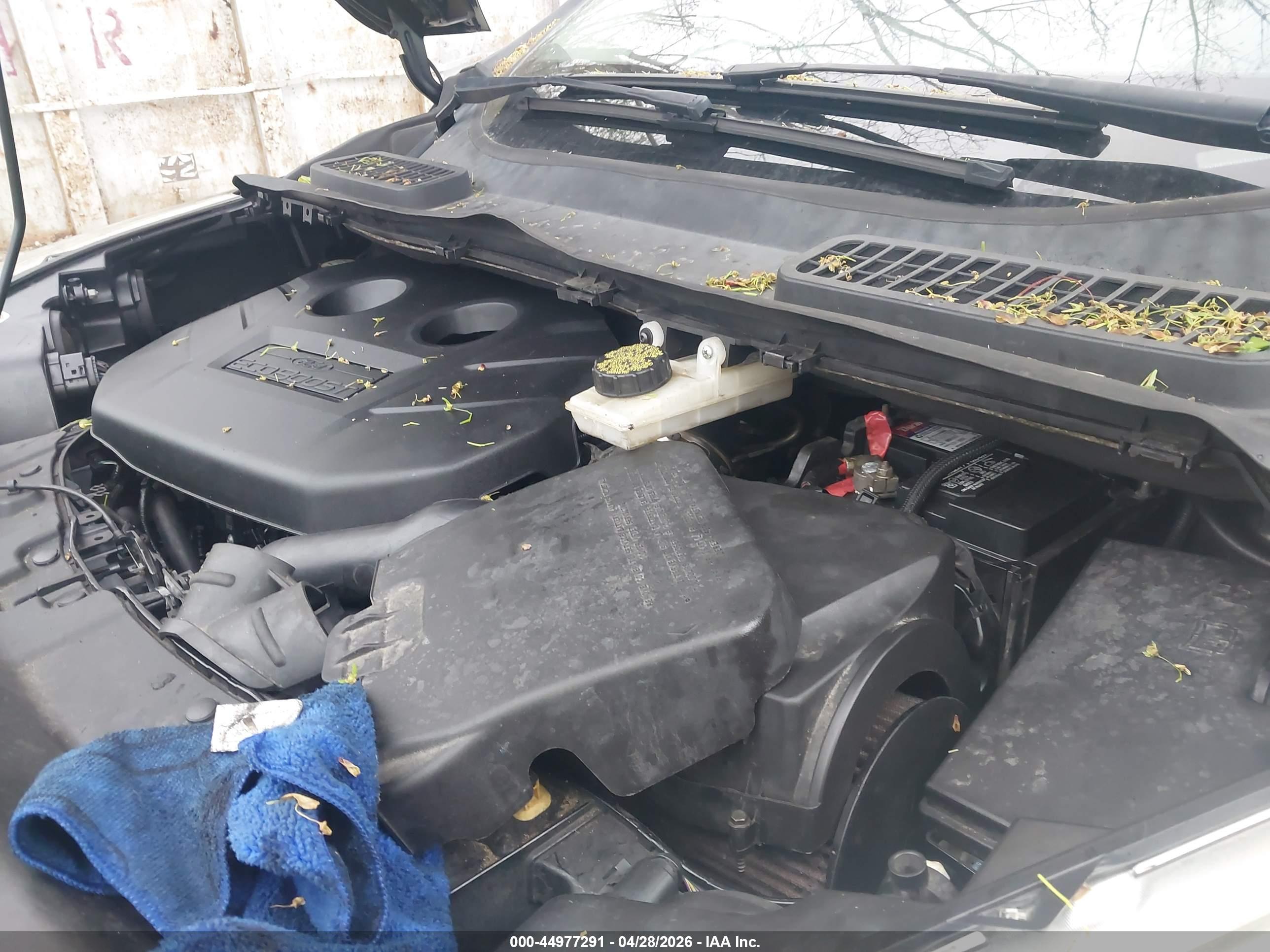 FORD ESCAPE image 6