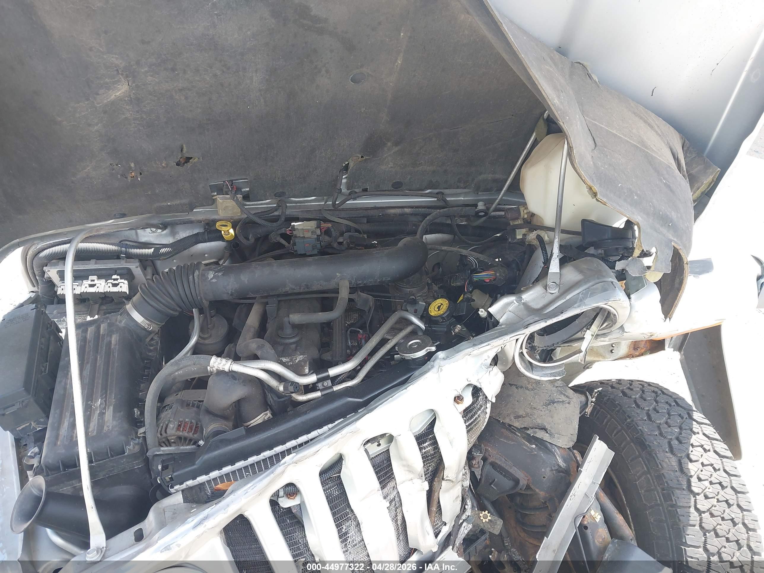 JEEP WRANGLER image 10
