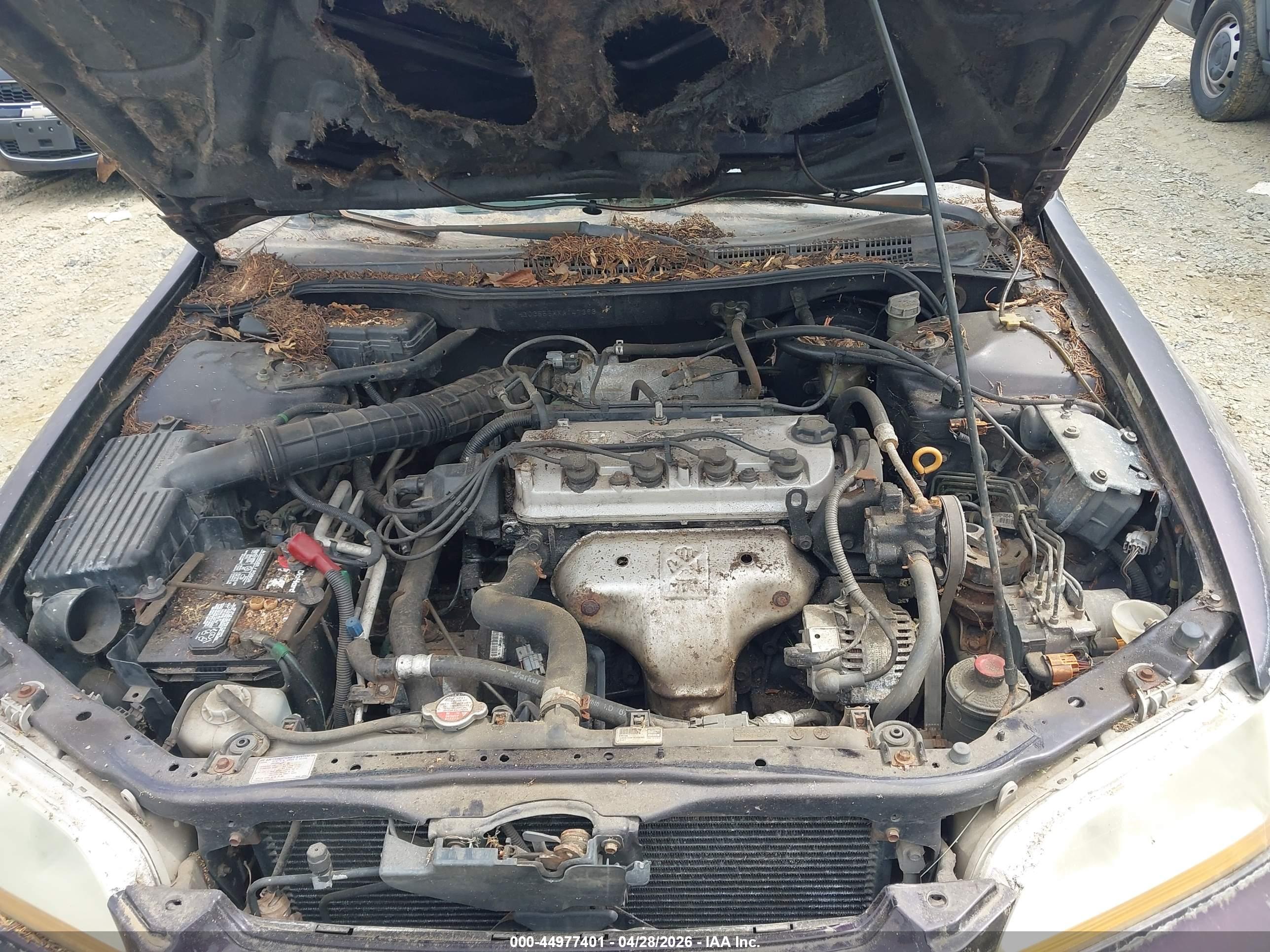 HONDA ACCORD image 10