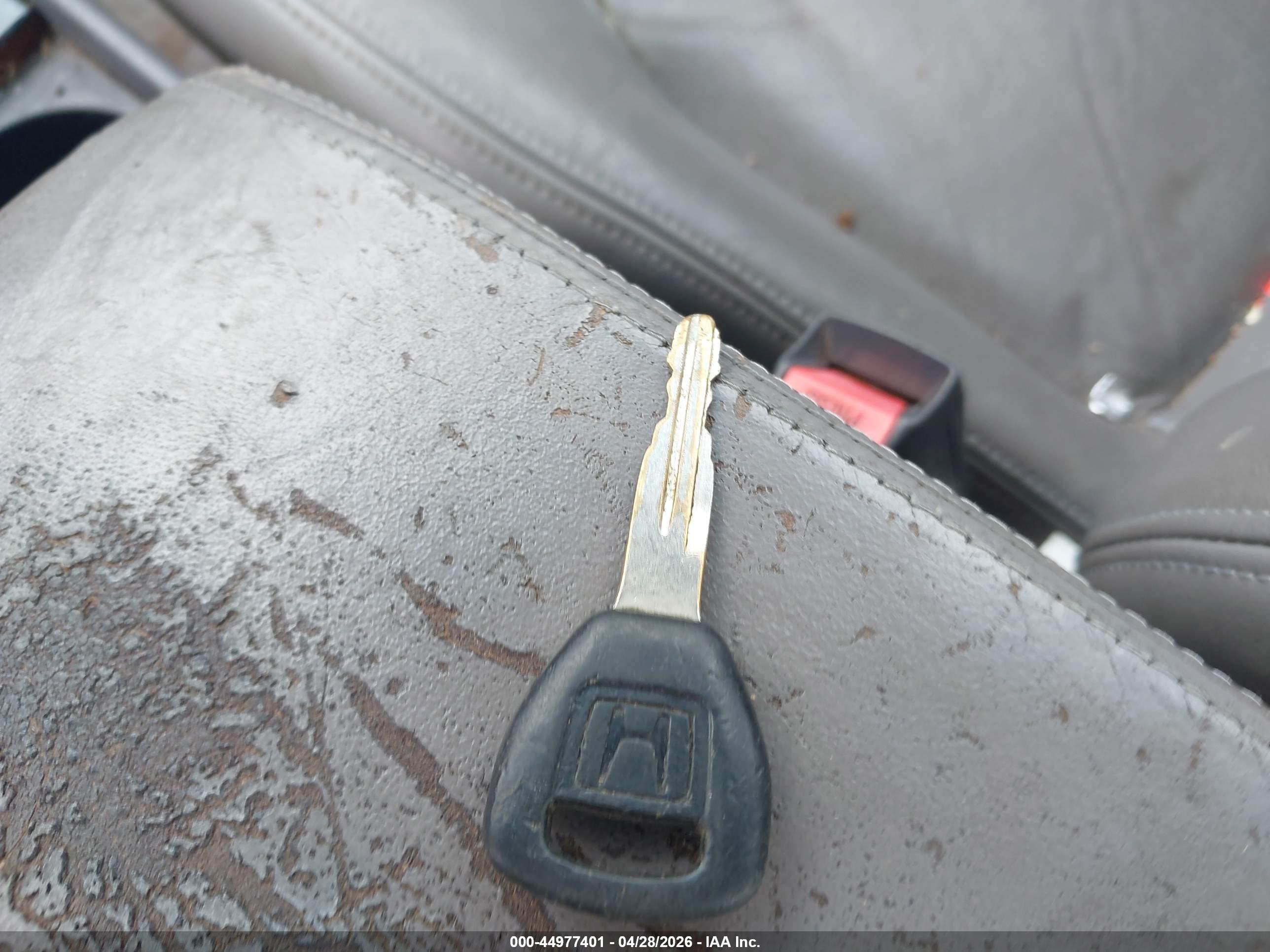 HONDA ACCORD image 11