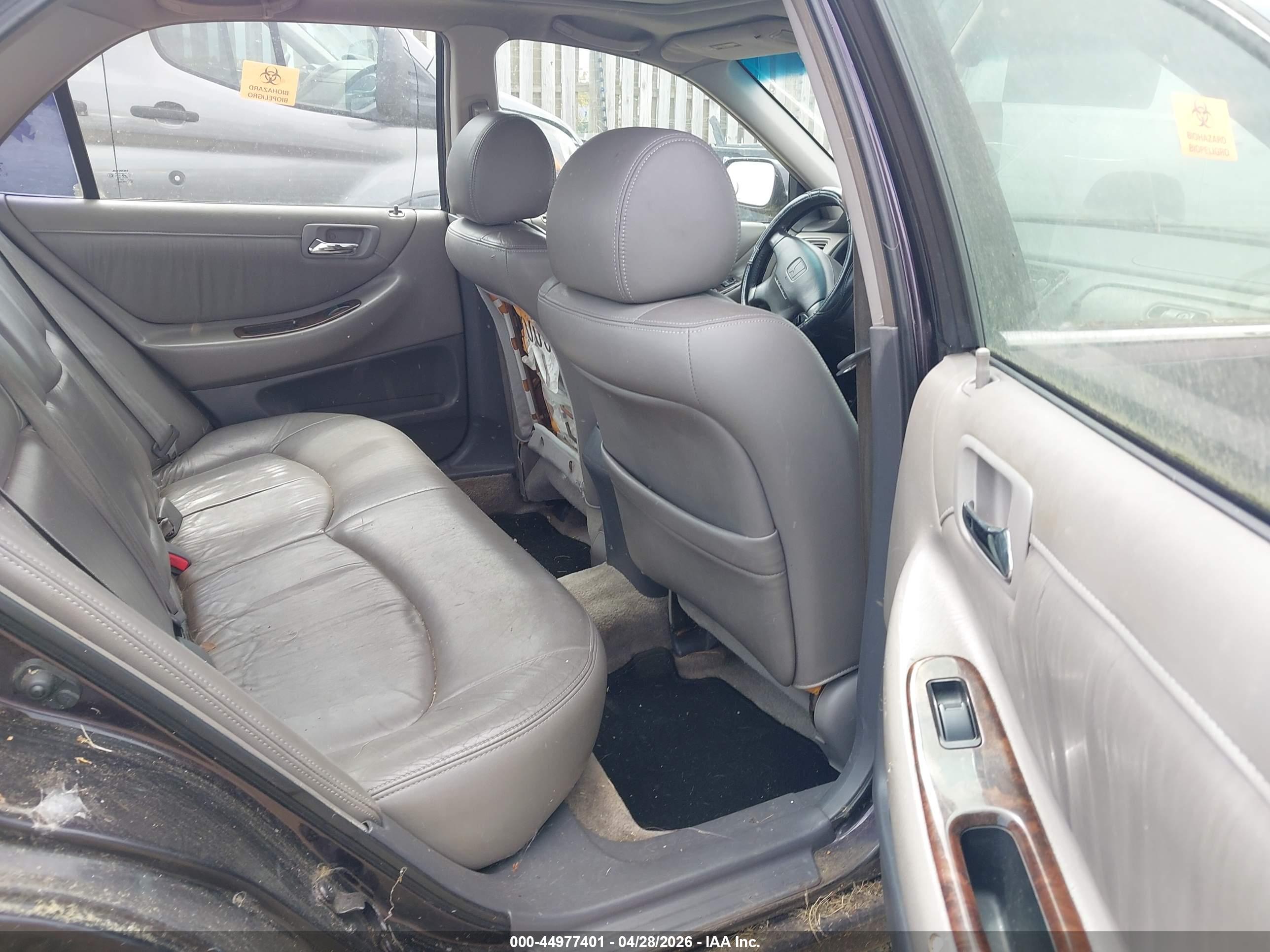 HONDA ACCORD image 8